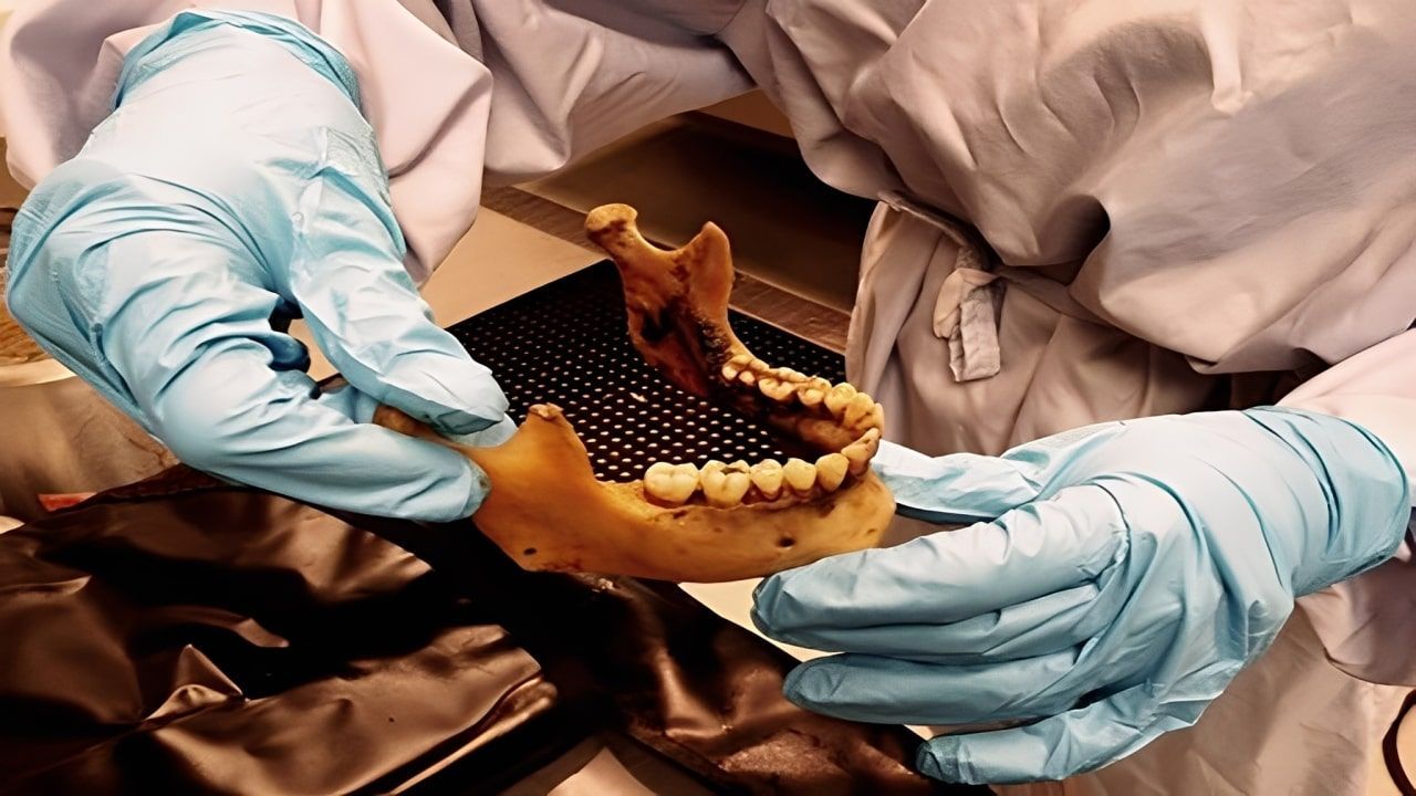 Un médico sostiene la mano de un paciente en una cama de hospital.