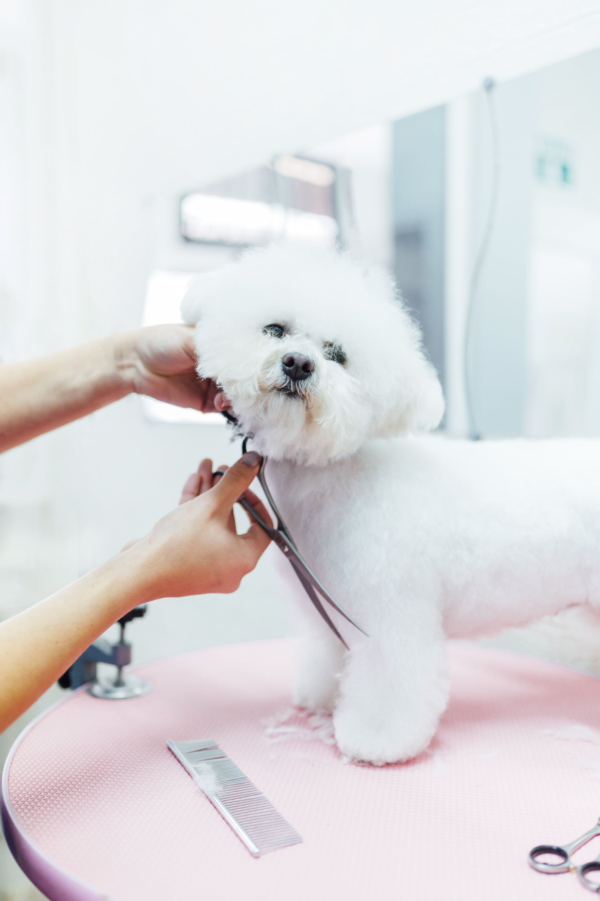 Una enfermera está hablando con un paciente en una cama de hospital.