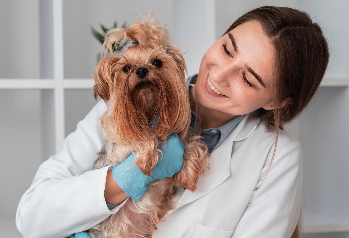 Una veterinaria sostiene un perro pequeño en sus brazos.