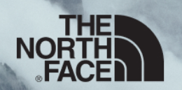 The North Face logo in black on a light blue/gray background.