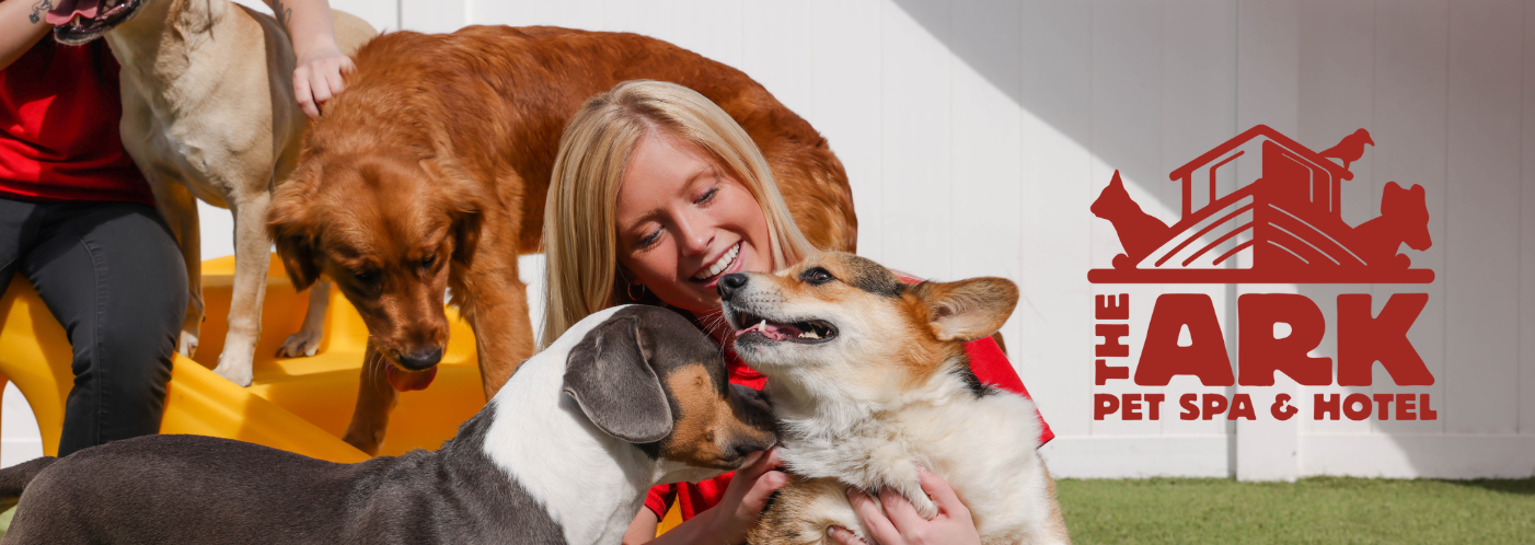 Girl and dog playing at The Ark Pet Spa & Hotel