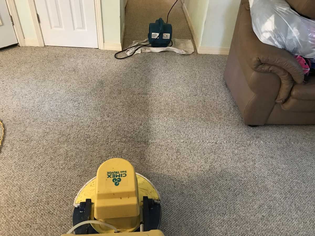 Rug Cleaning — Mobile, AL — Southern Carpet Care
