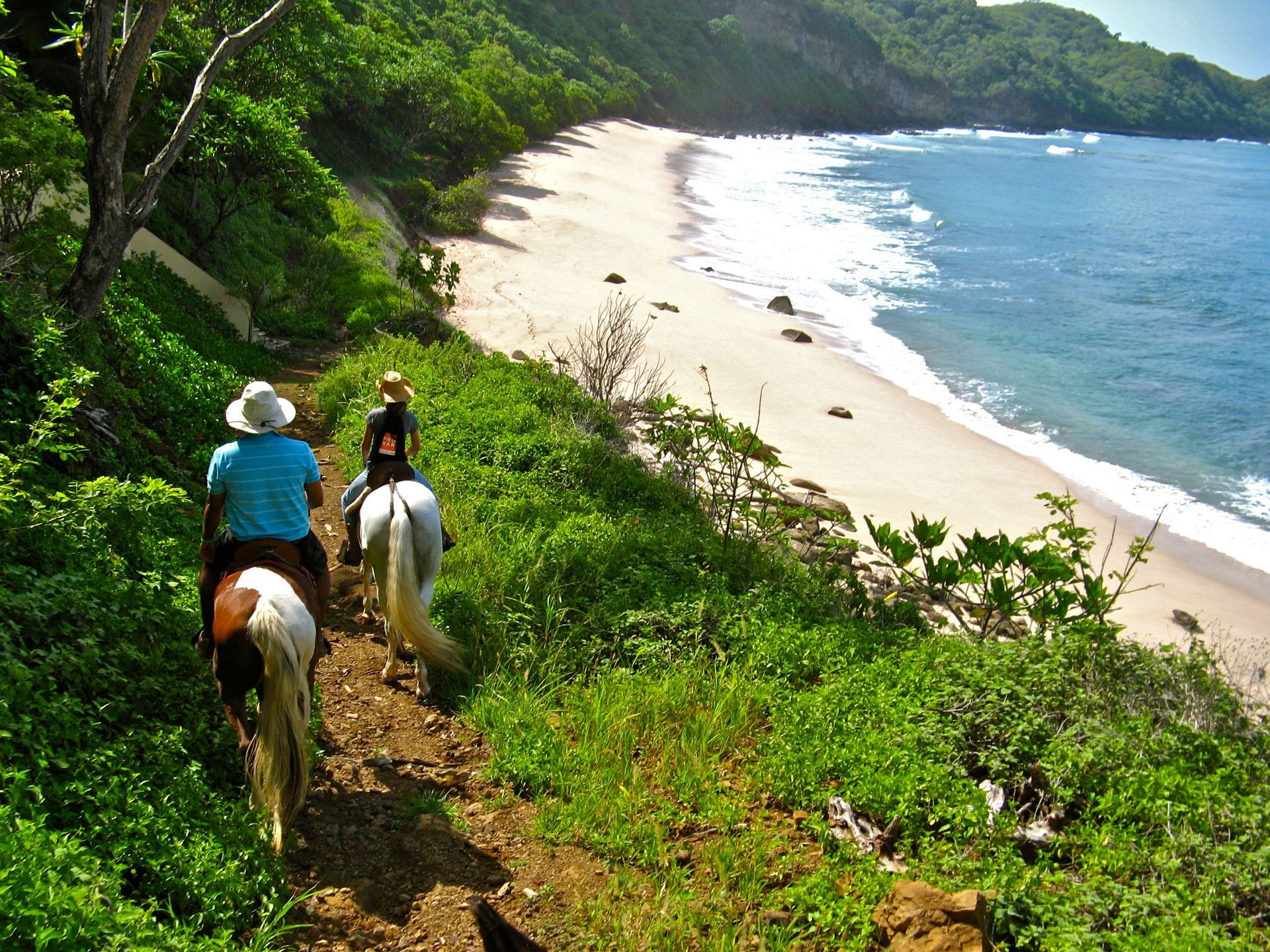 Two people are riding horses down a path near the ocean