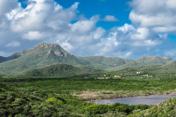 A river running through a lush green valley with mountains in the background.