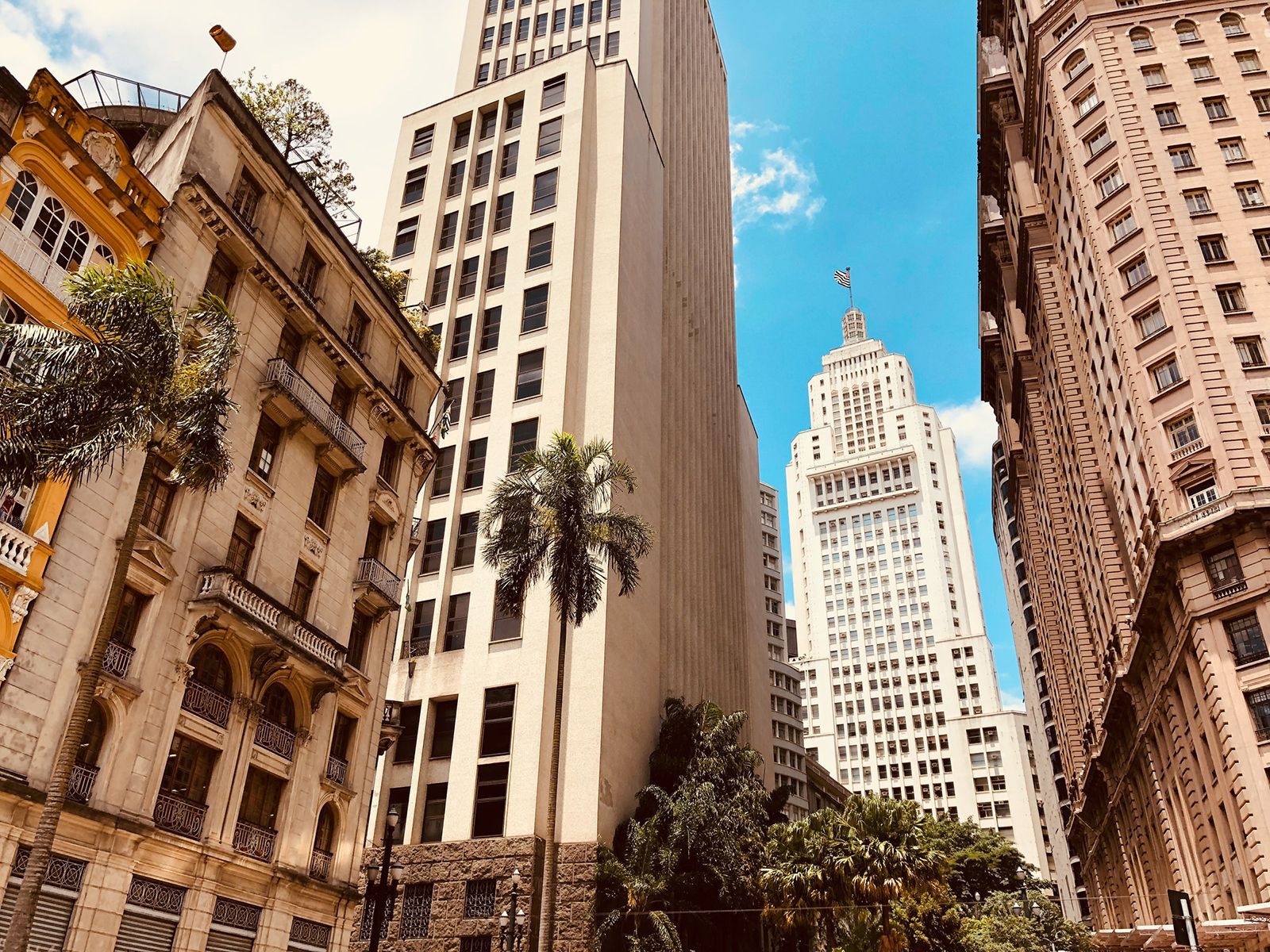 A city street with a lot of tall buildings and palm trees.