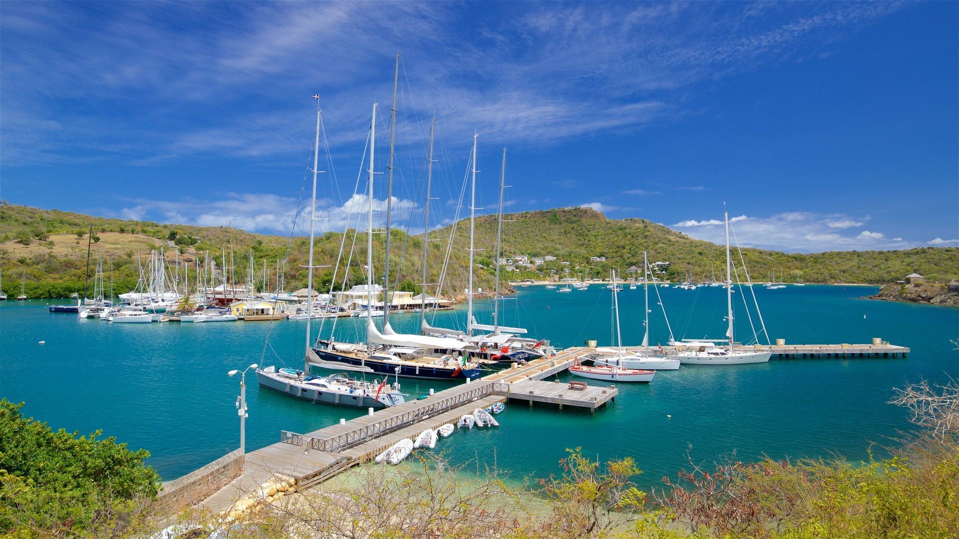 A group of sailboats are docked at a dock in a harbor.