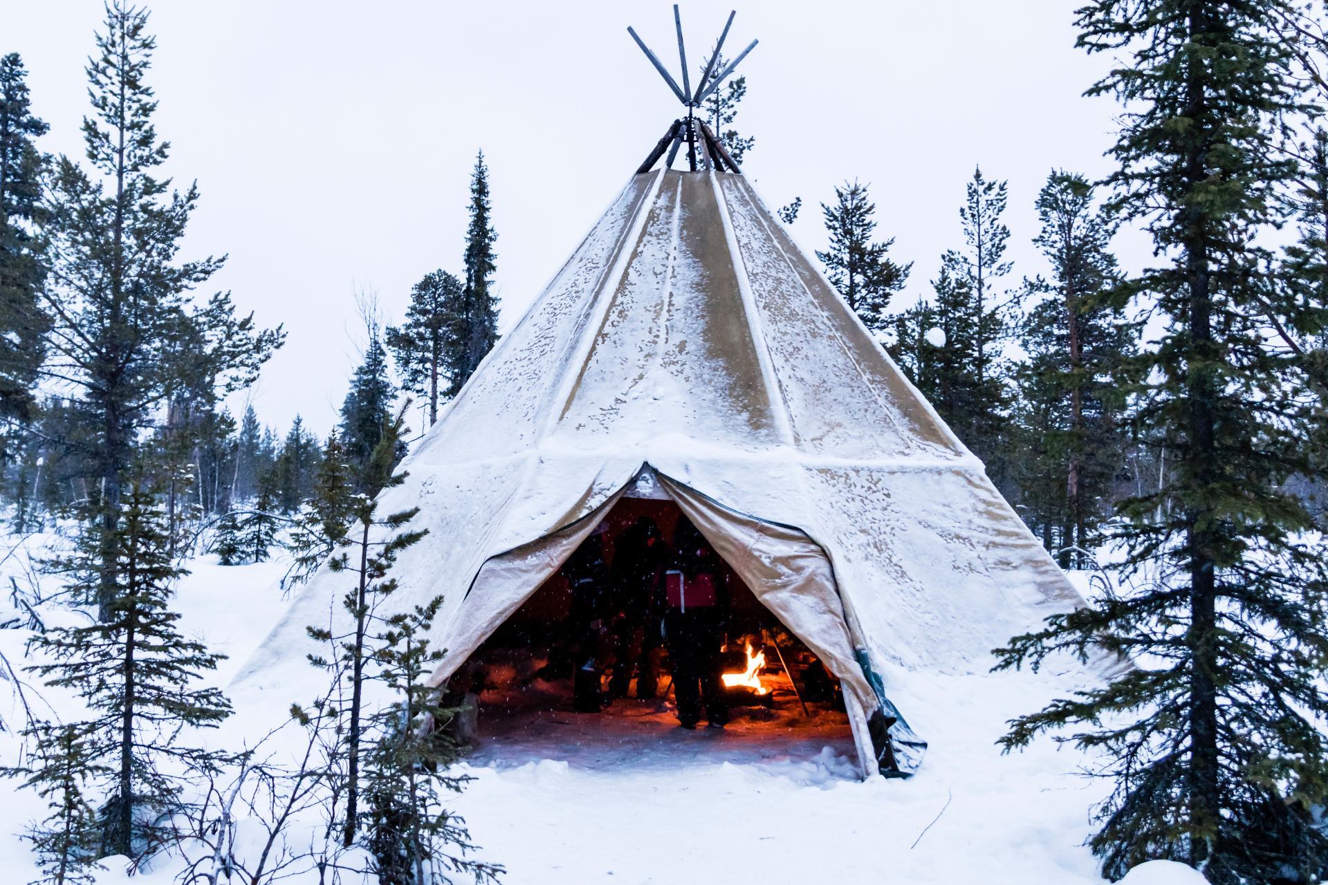 A teepee in the middle of a snowy forest