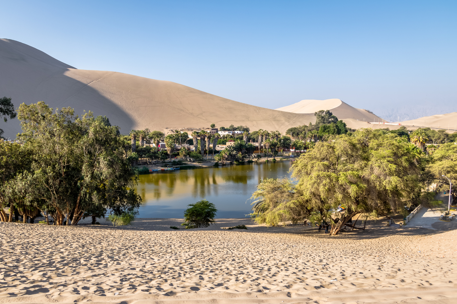 There is a lake in the middle of the desert surrounded by trees.