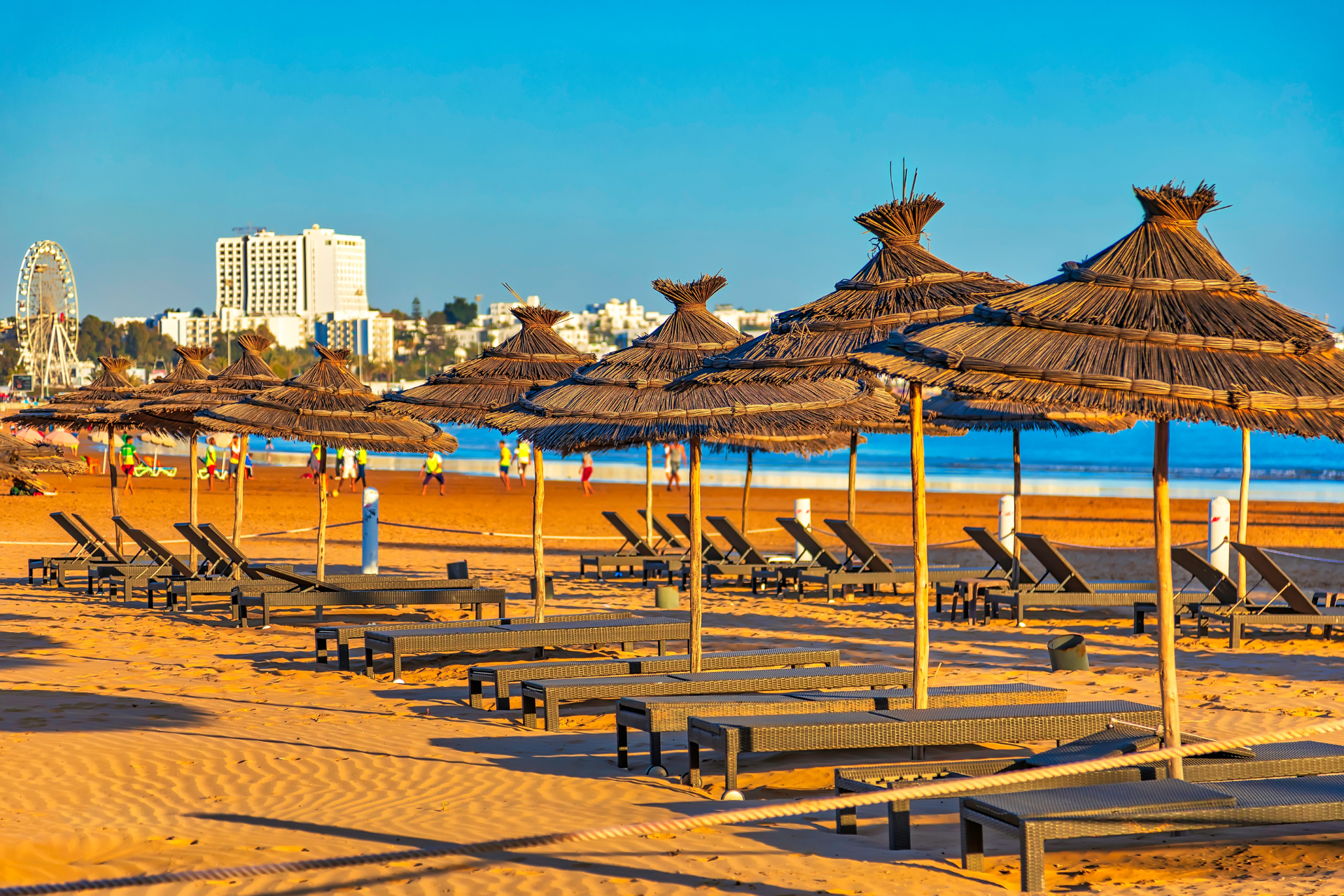 A row of umbrellas and lounge chairs on a beach.