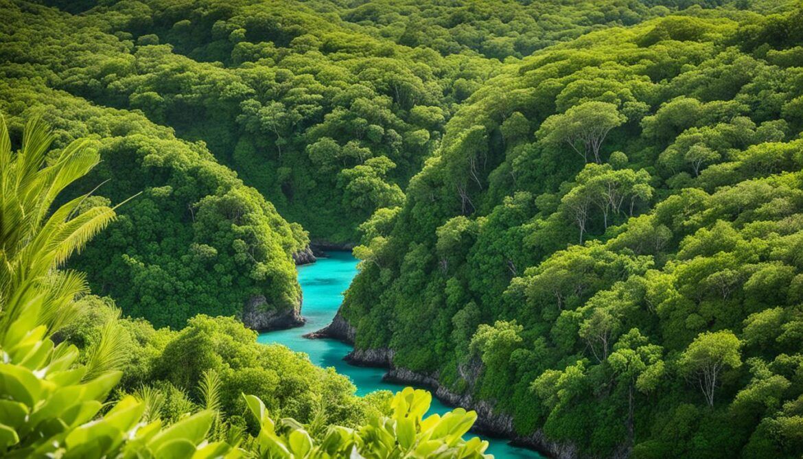 An aerial view of a lush green forest with a body of water in the middle.