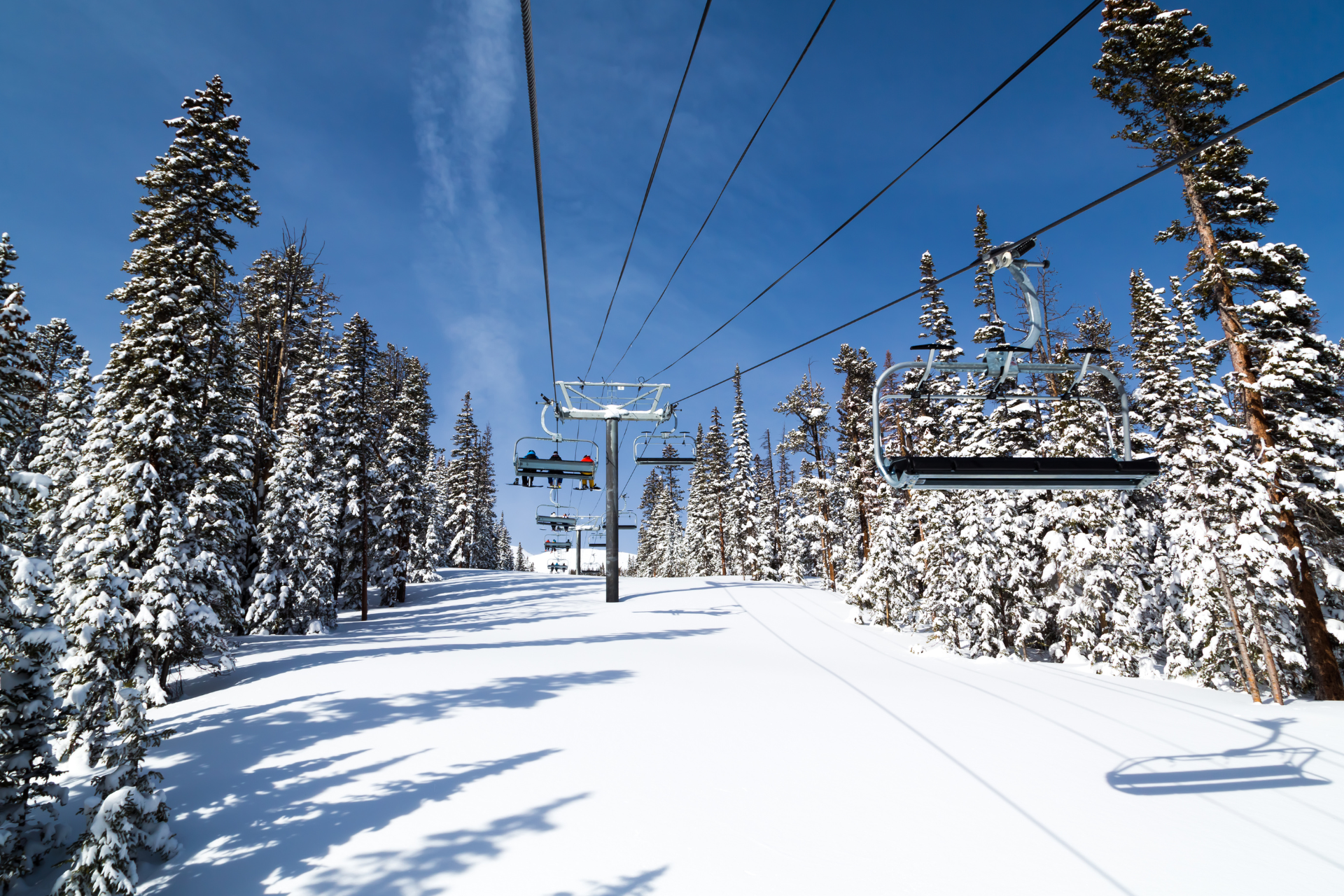 A ski lift is going up a snow covered slope surrounded by snow covered trees.