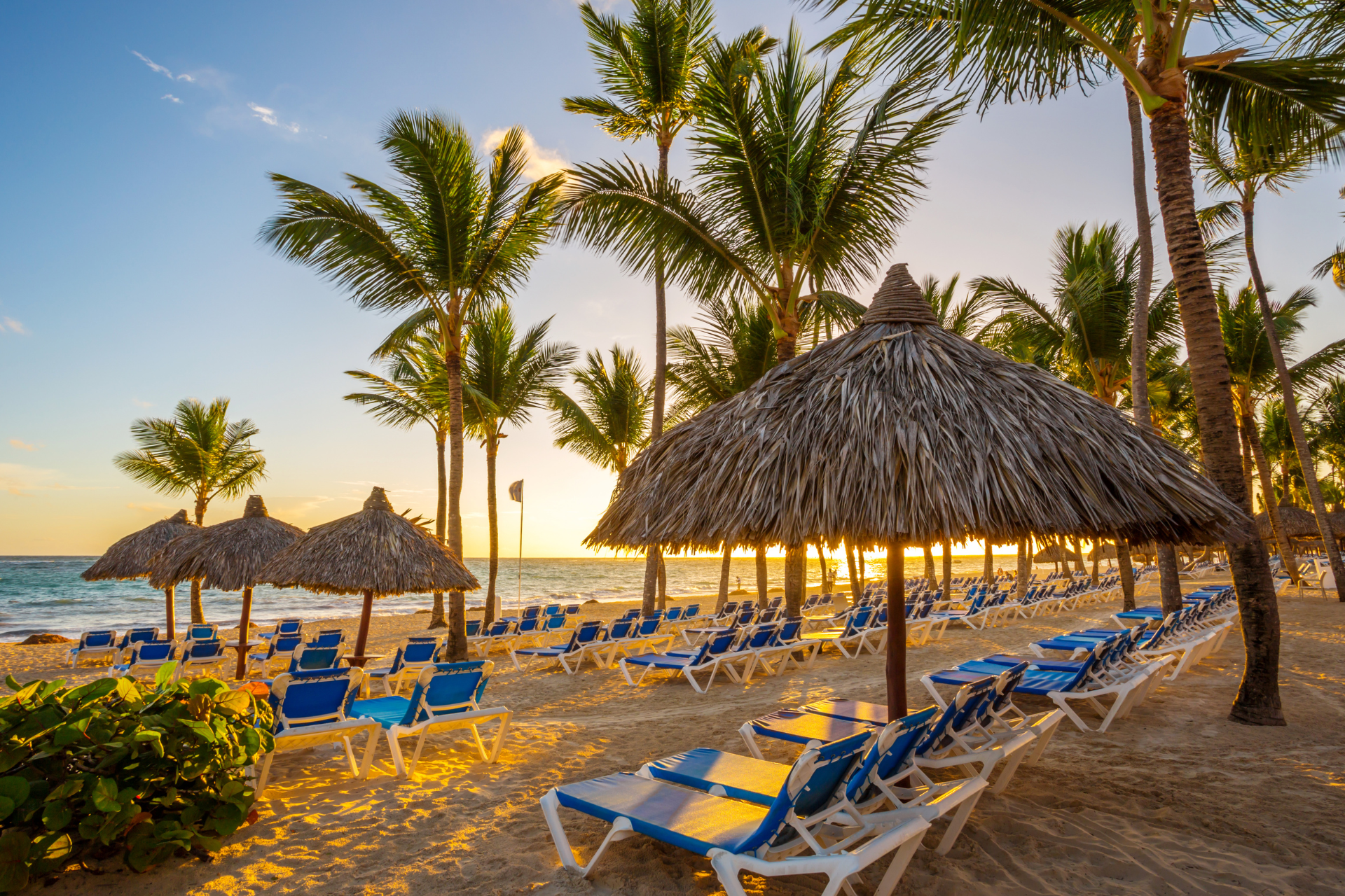 There are many chairs and umbrellas on the beach.