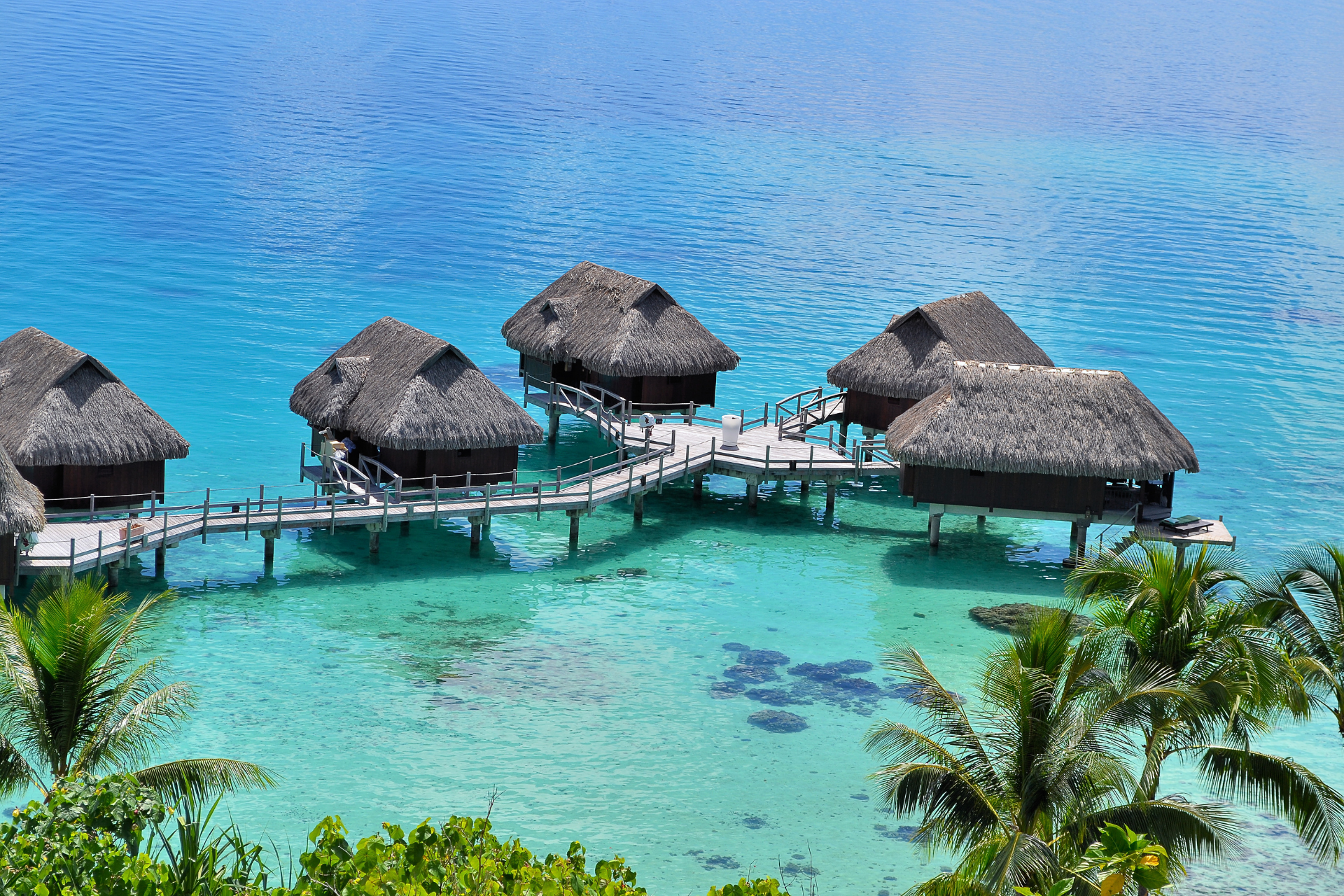 A row of thatched huts on stilts in the middle of the ocean