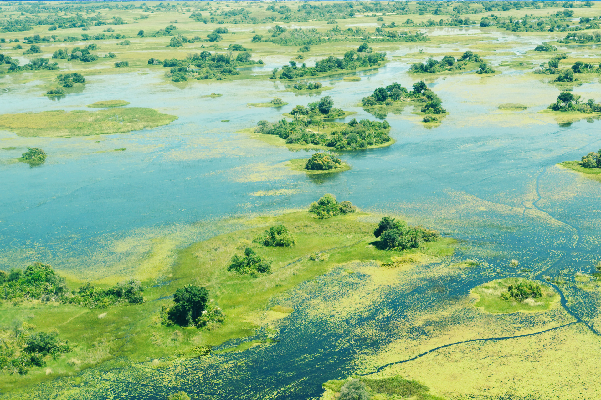 An aerial view of a swamp with a river running through it