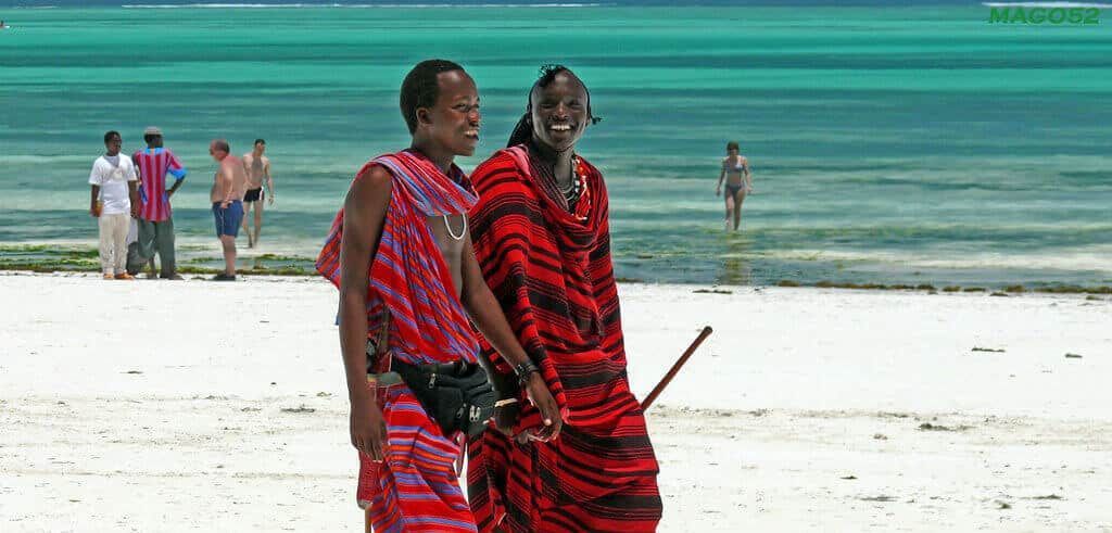 Two men are walking on a beach with a stick in their hand.