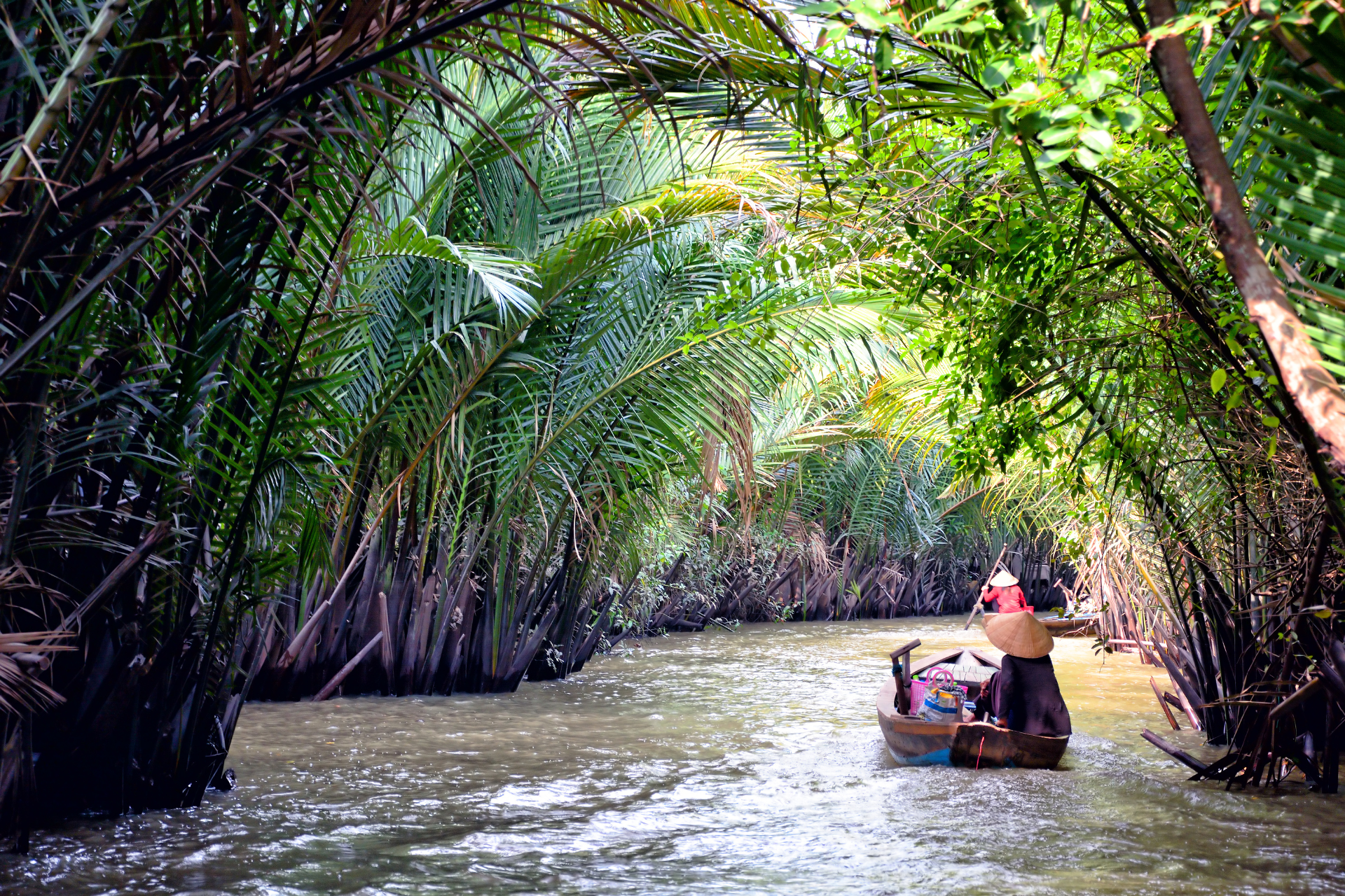 A man is rowing a boat down a river surrounded by trees.