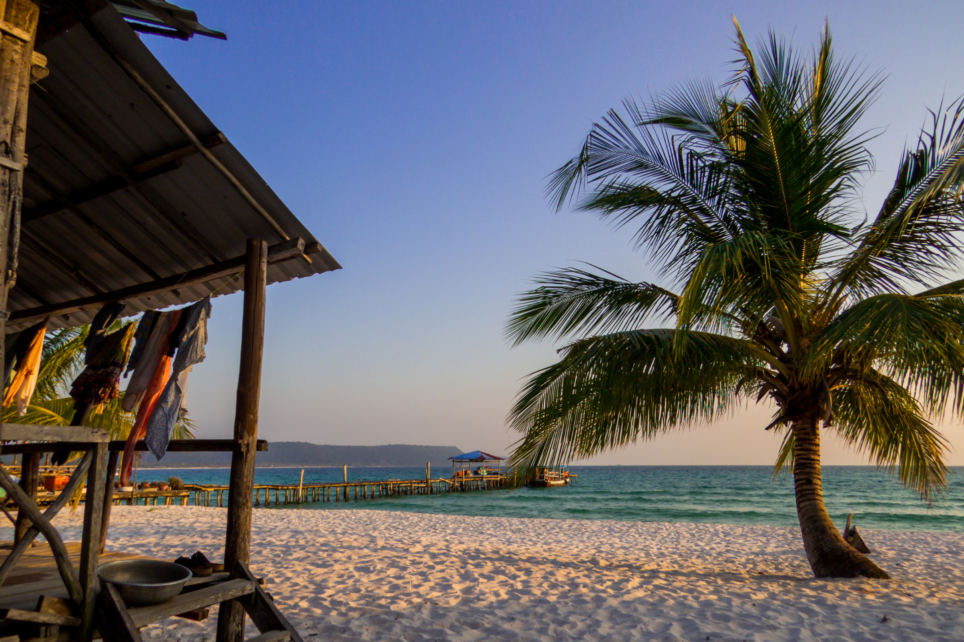 A beach with a palm tree in the foreground