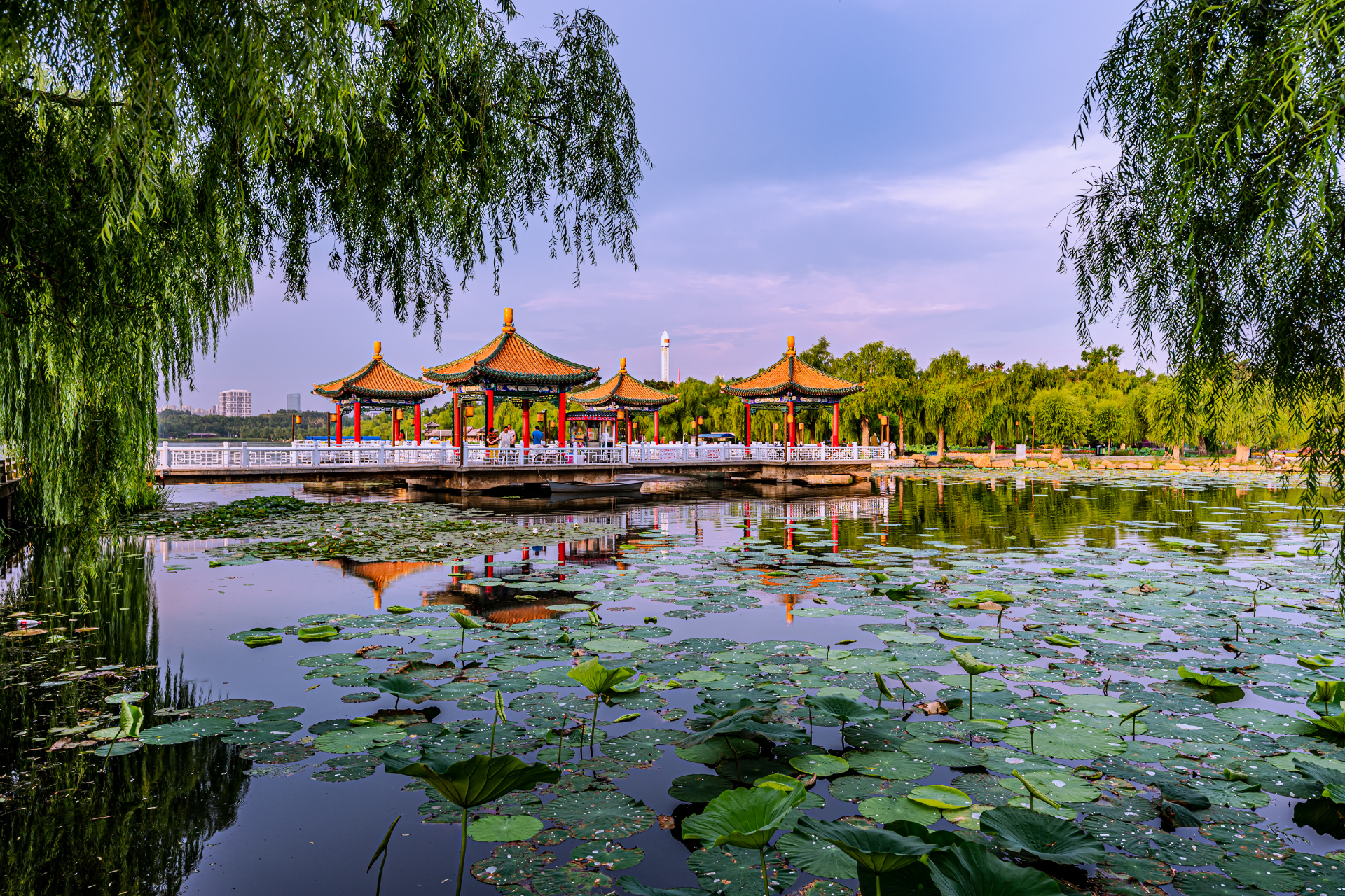 A lake filled with water lilies and gazebos in a park.