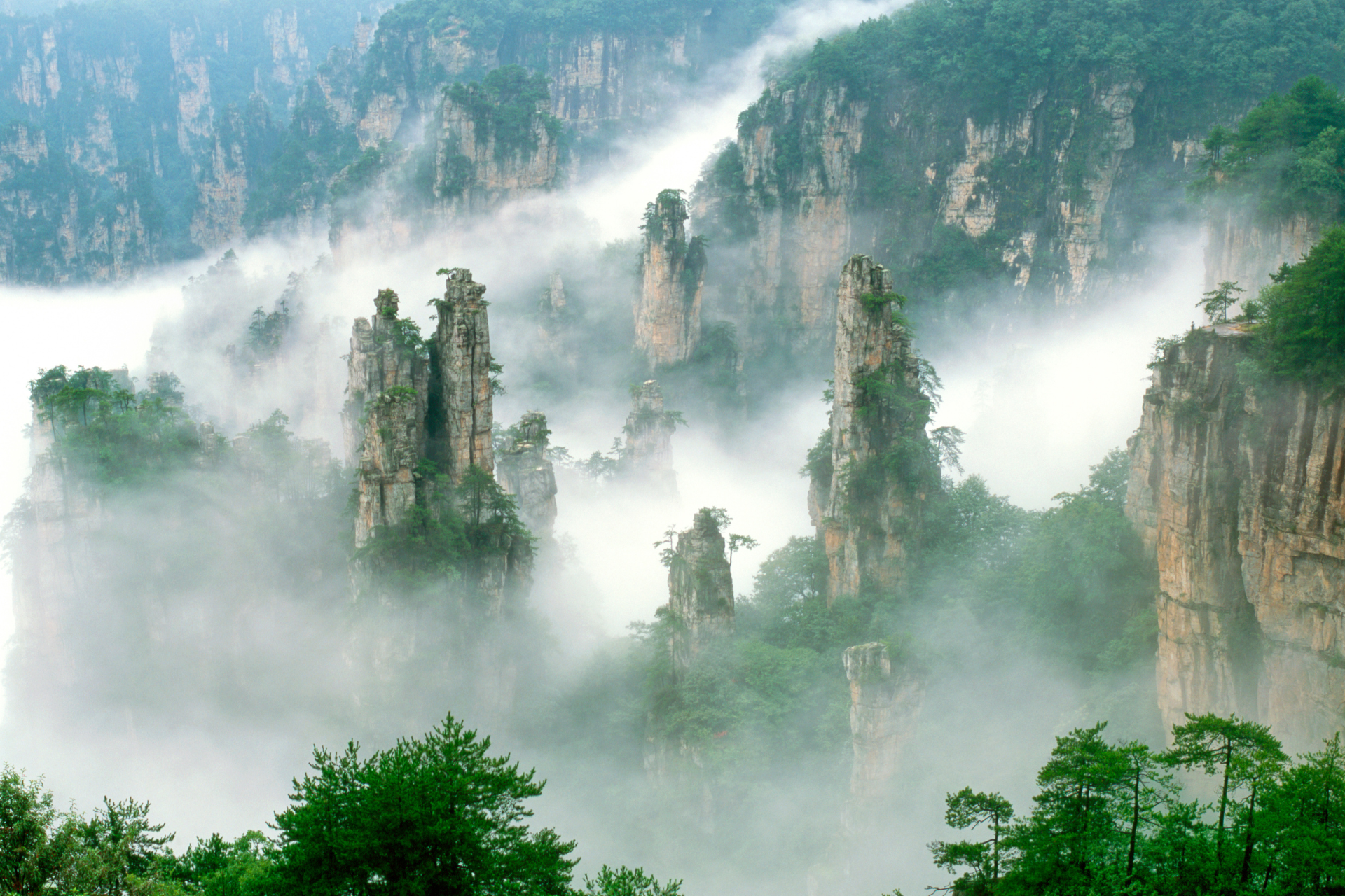 A landscape of mountains covered in fog and trees