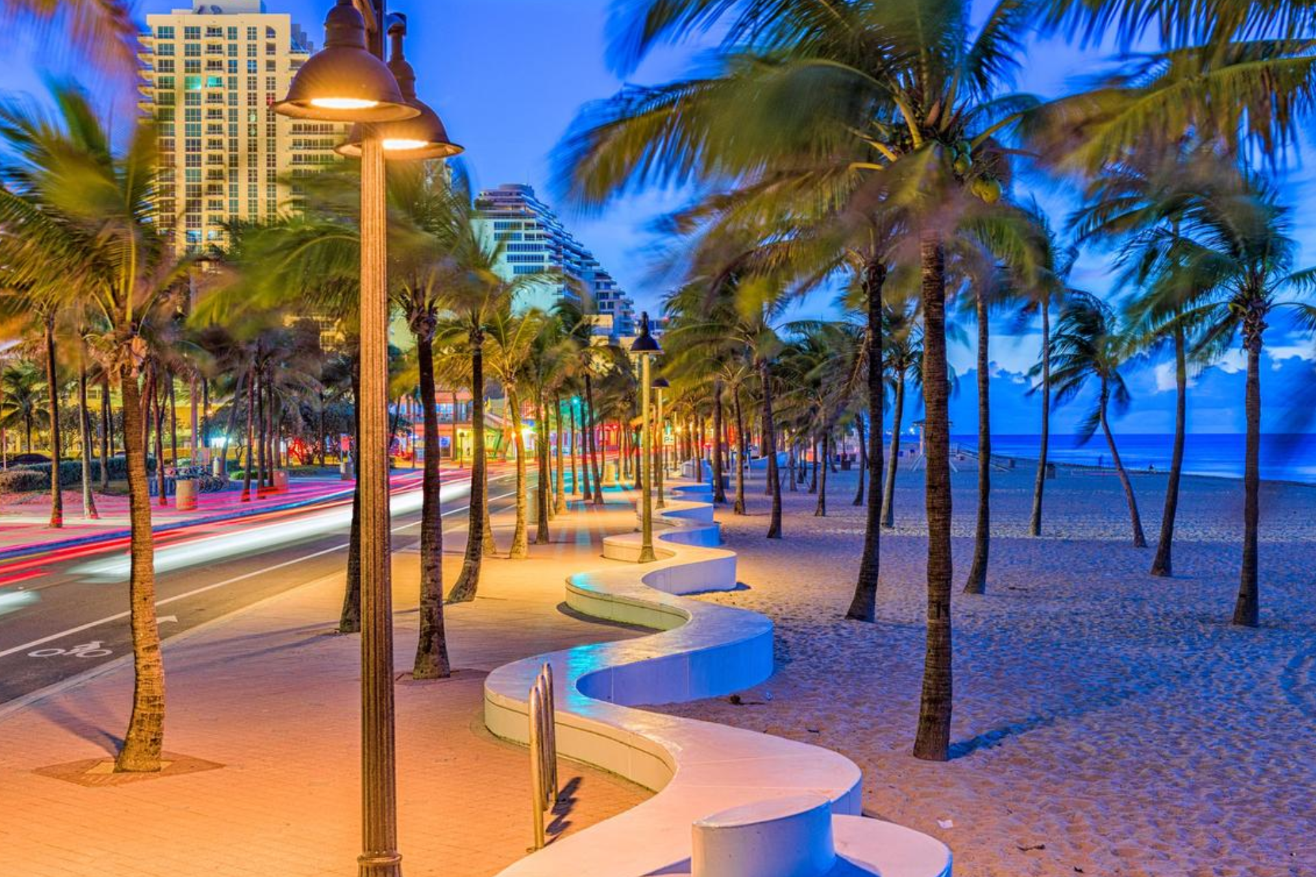 A row of palm trees along a beach at night.