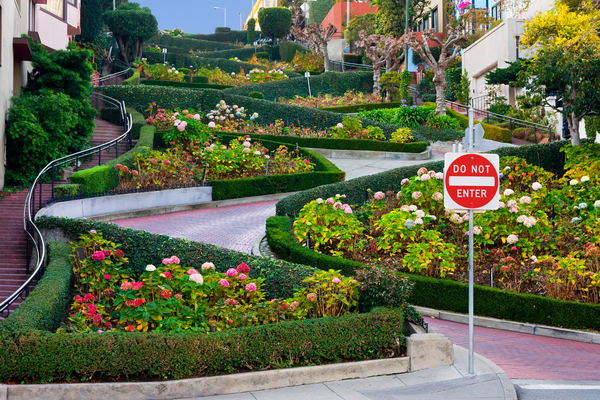 A do not enter sign is in the middle of a garden