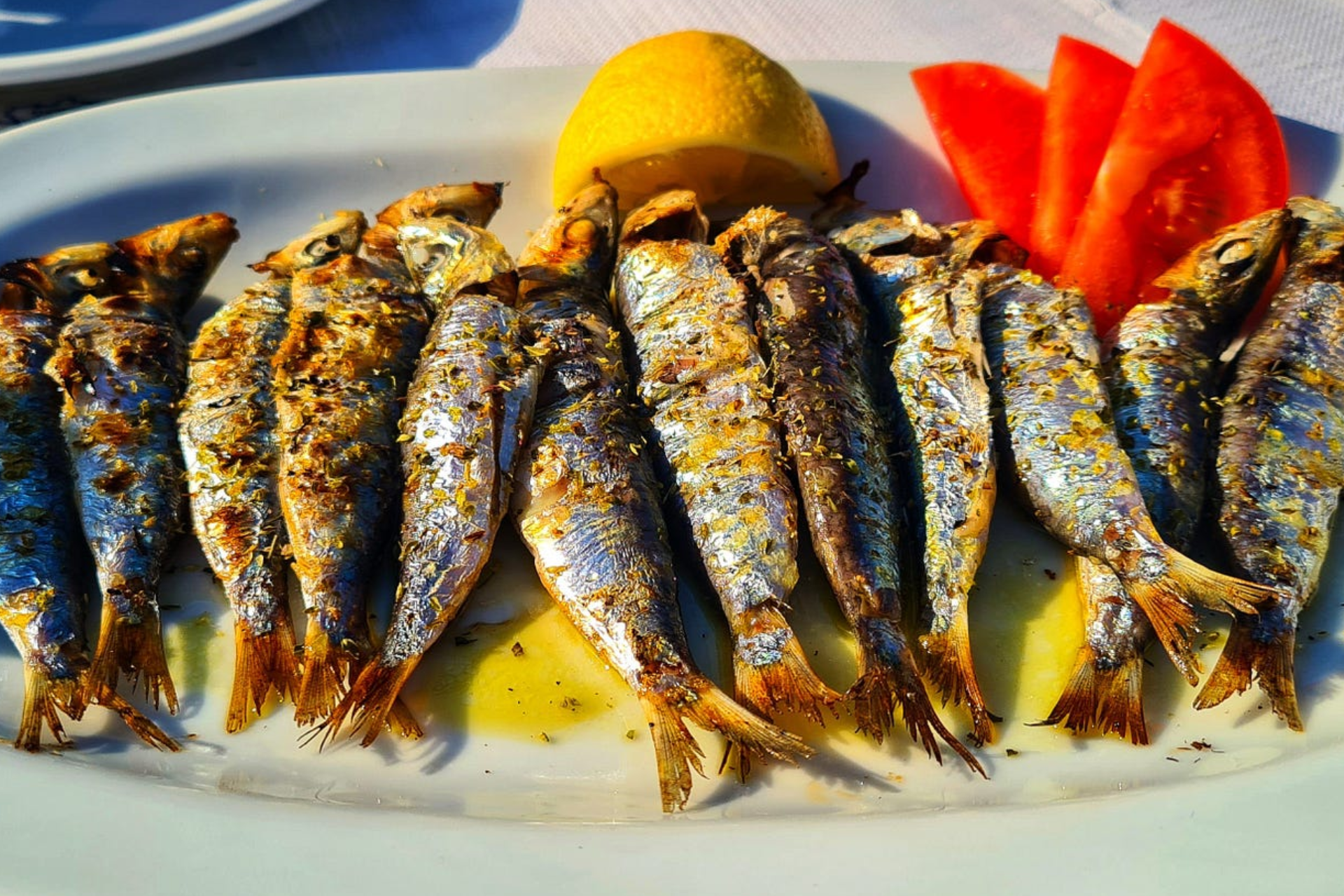 A white plate topped with grilled sardines and tomatoes