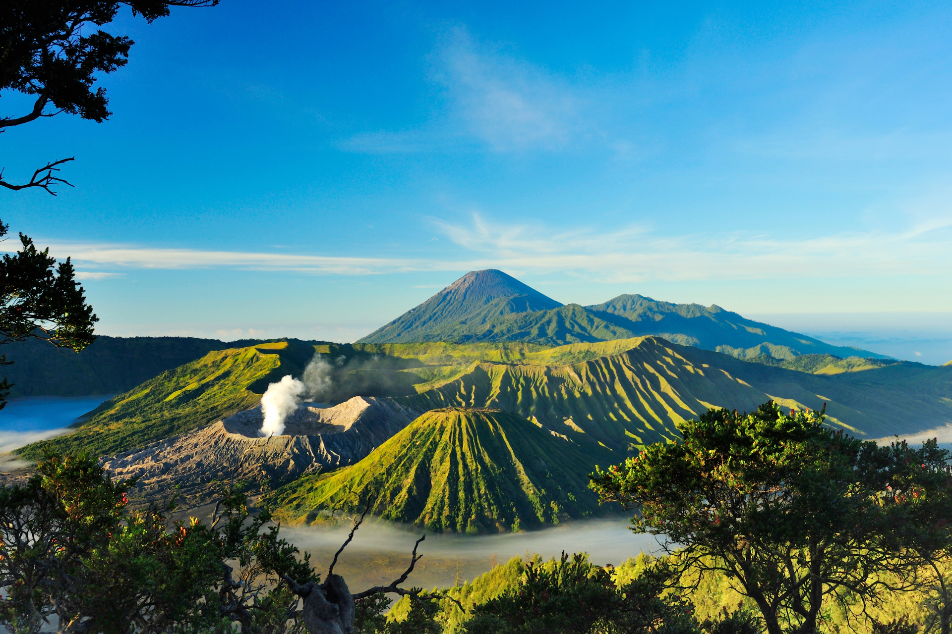 A view of a volcano with trees in the foreground