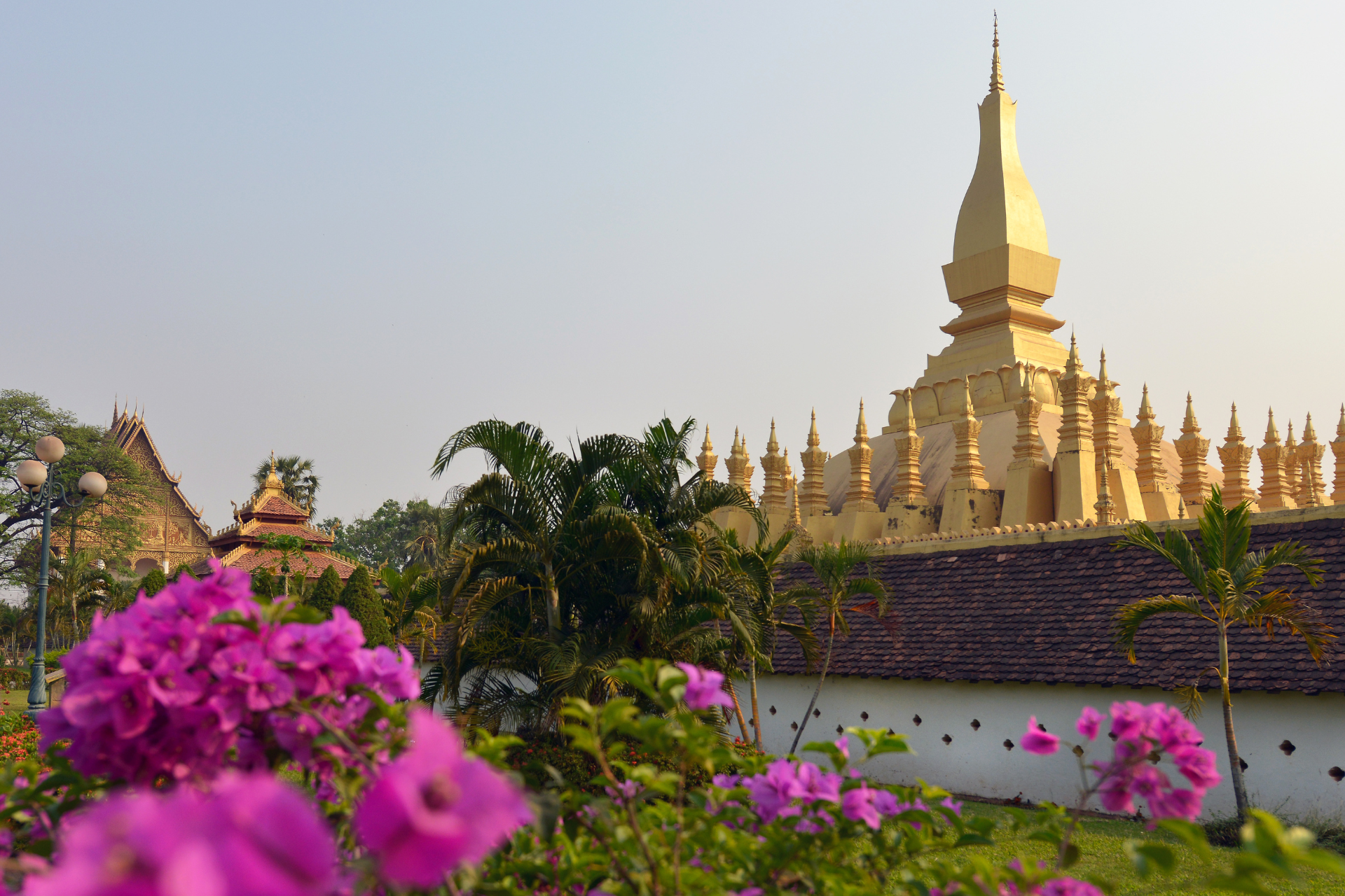 A temple with purple flowers in front of it