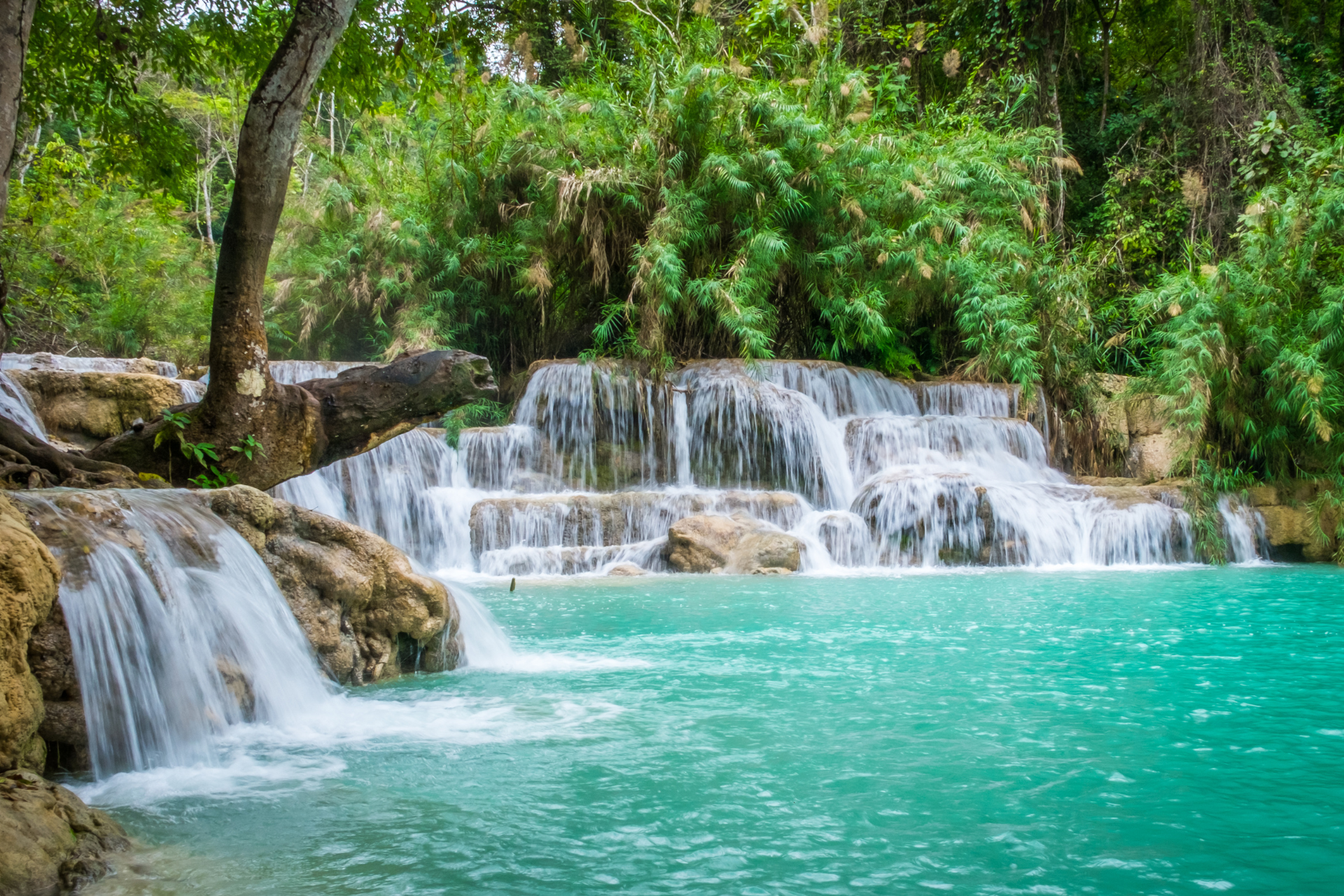 A waterfall in the middle of a lush green forest surrounded by trees.