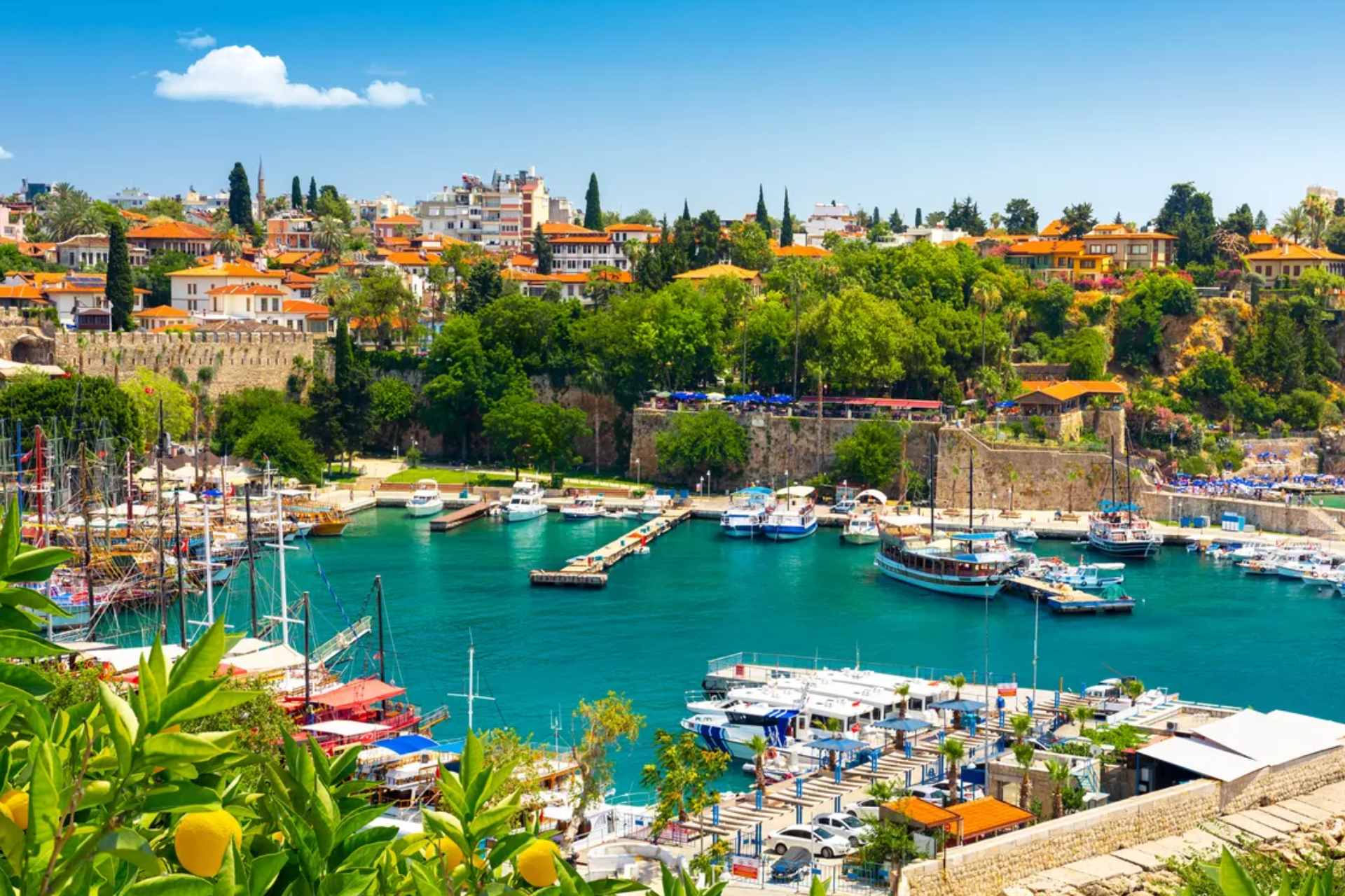 A harbor with boats docked in it and a city in the background.