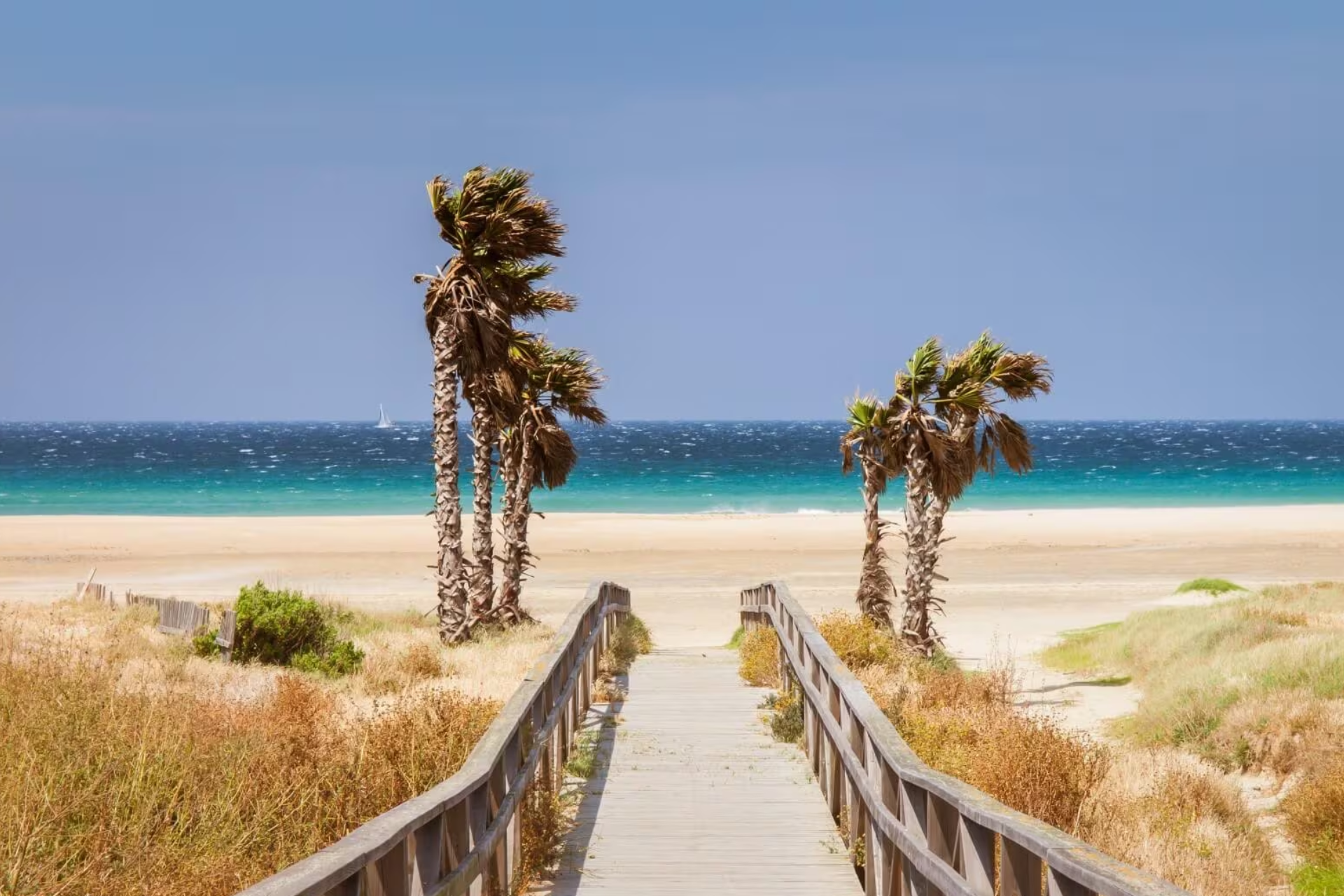 A wooden walkway leading to a beach with palm trees.