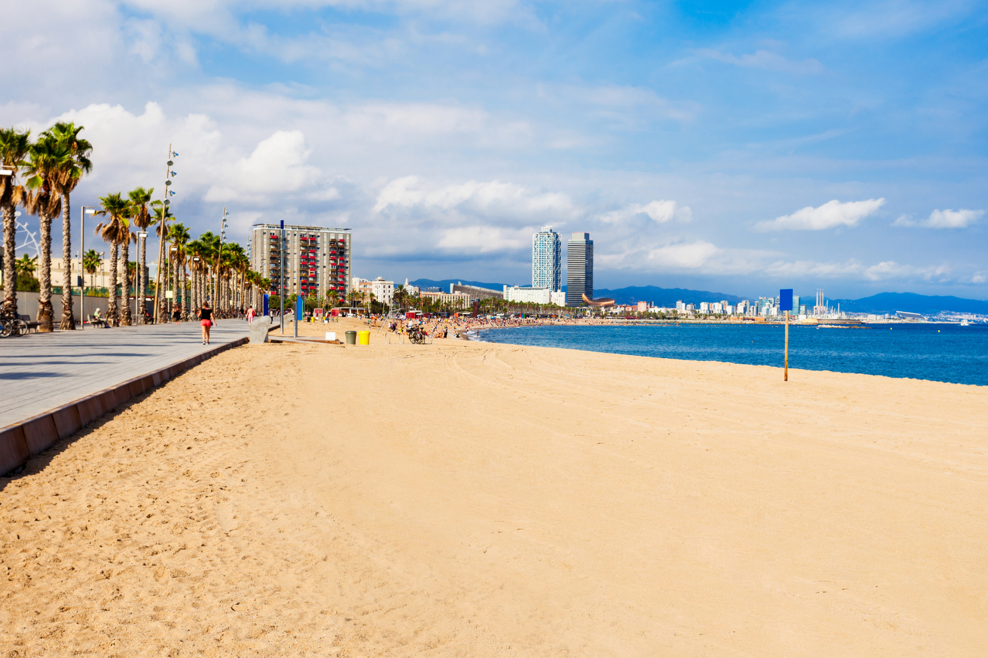 A beach with palm trees and a city in the background