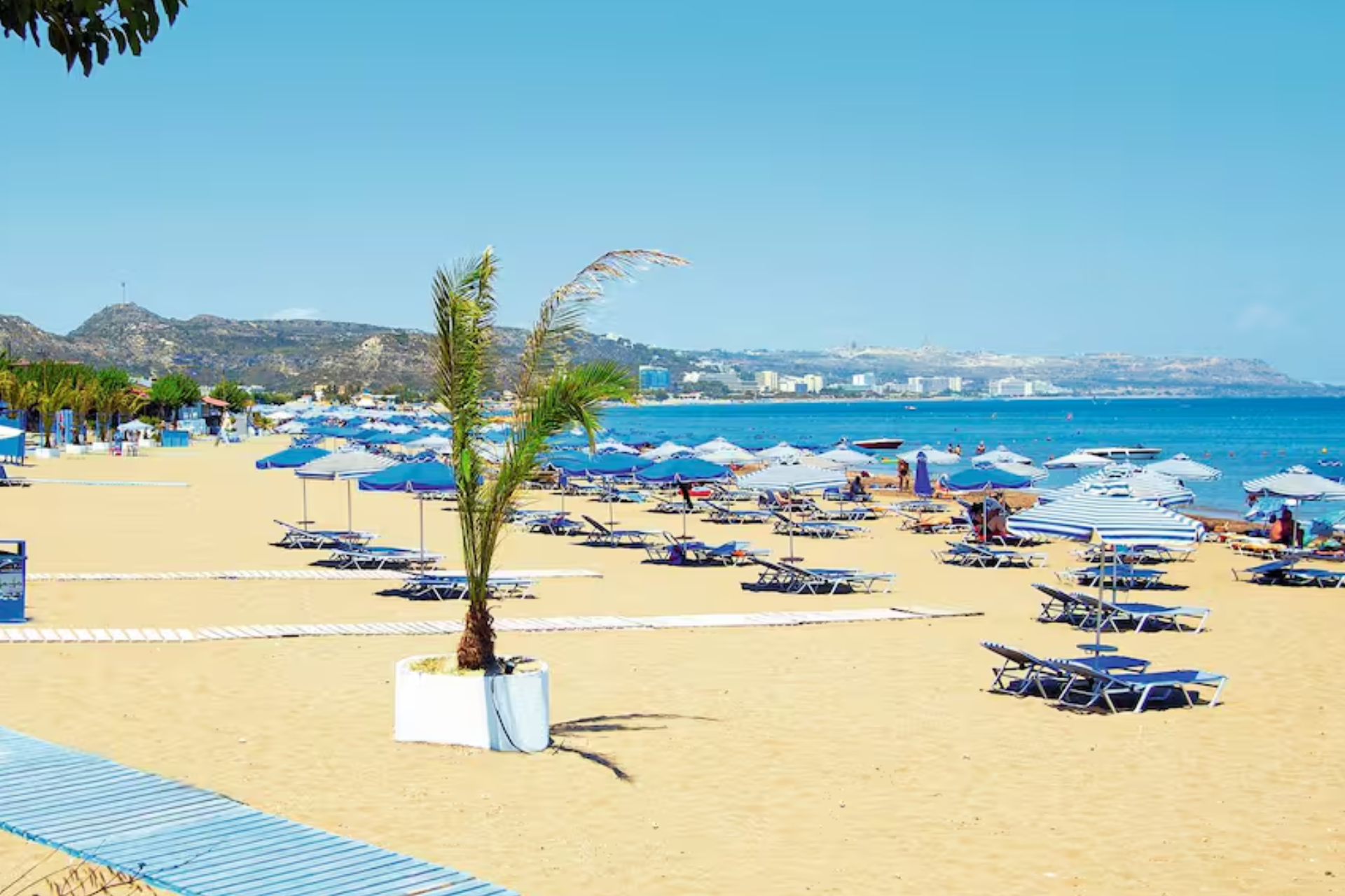 A beach with a lot of chairs and umbrellas