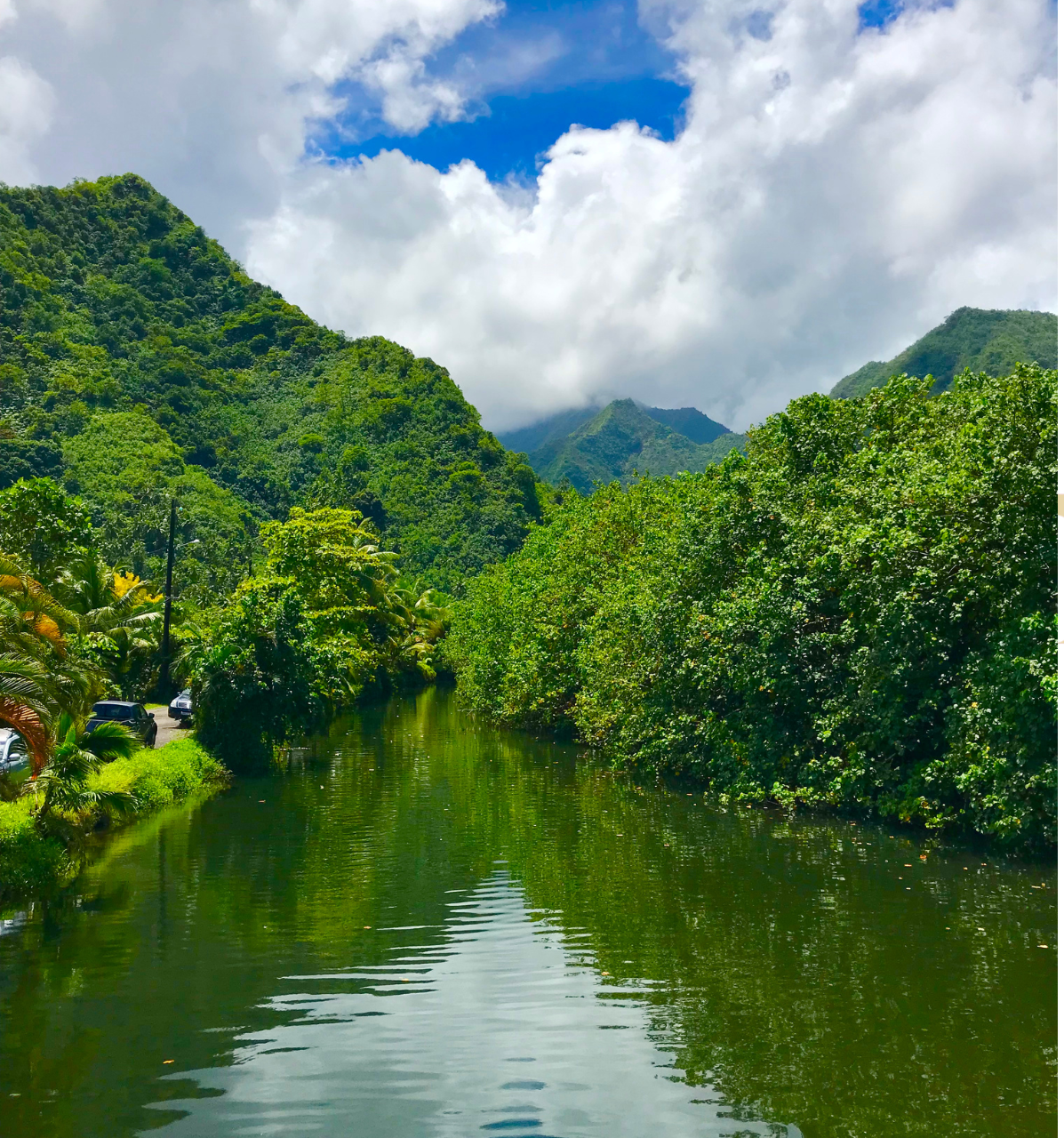 A river surrounded by trees and mountains on a sunny day