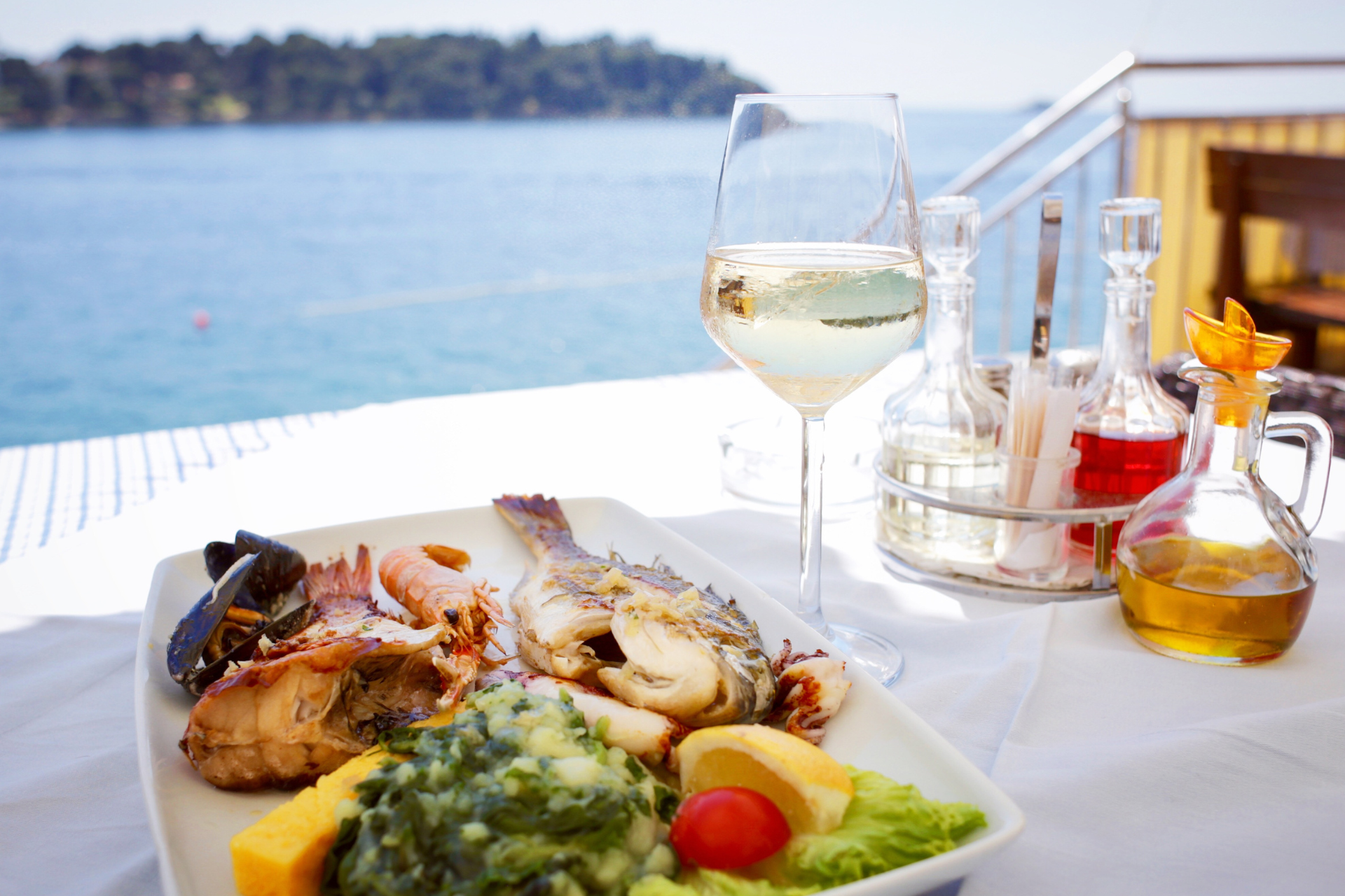 A plate of food and a glass of wine on a table with a view of the ocean.