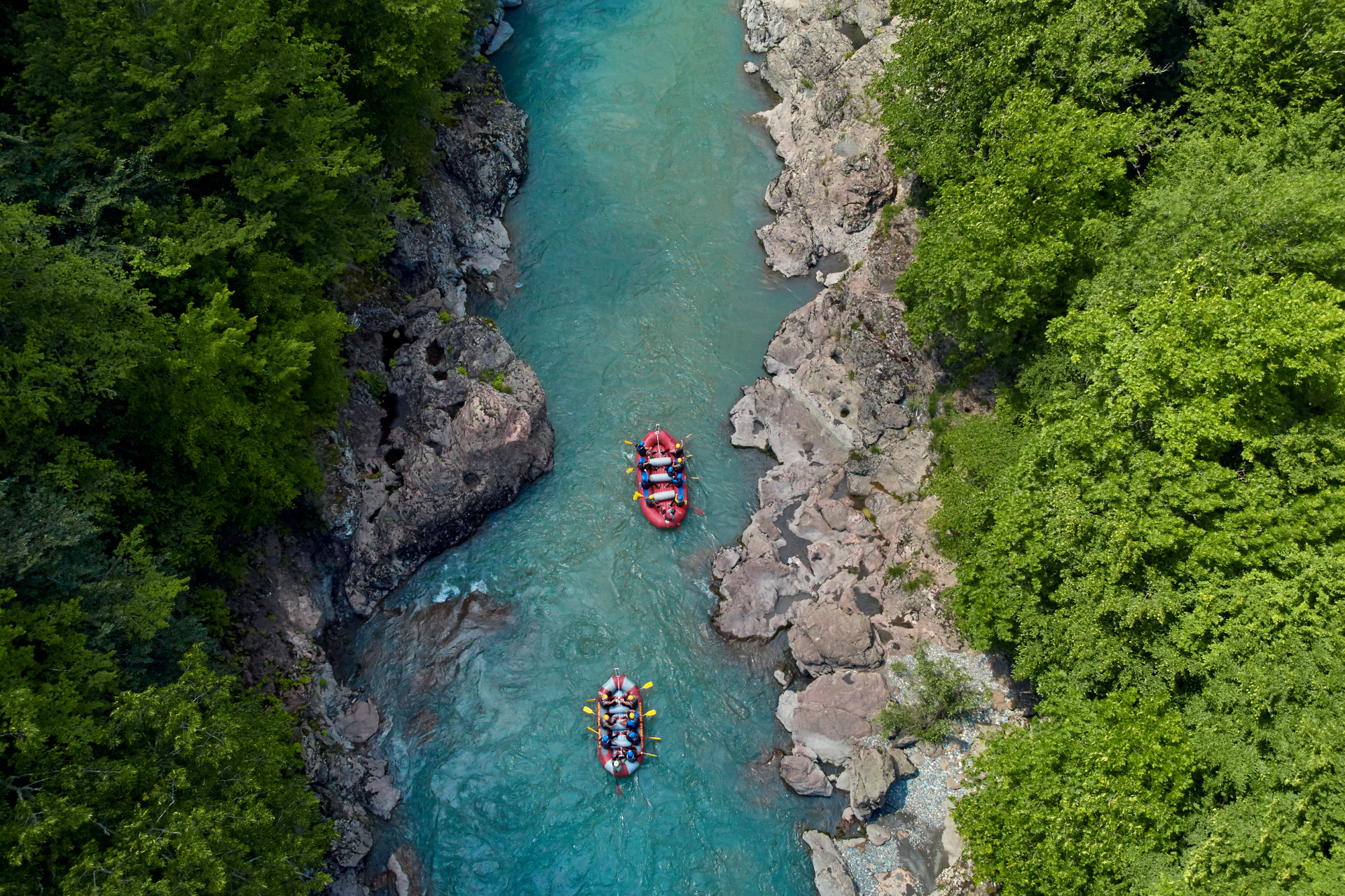 A group of people are rafting down a river surrounded by trees.