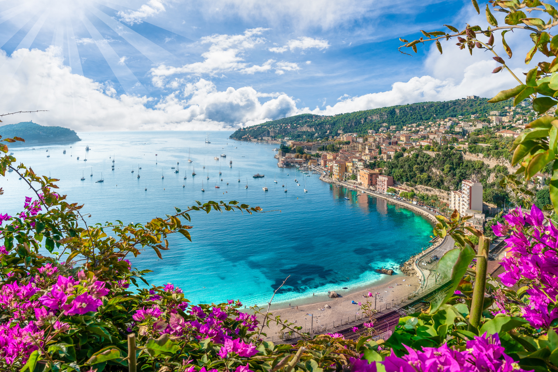 A view of a bay with purple flowers in the foreground and a city in the background.