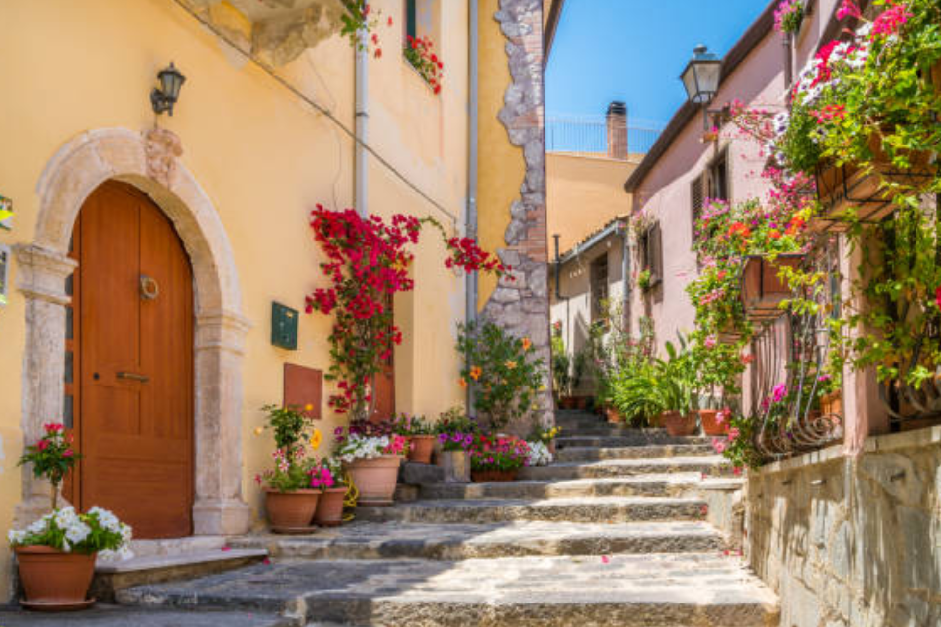 A narrow alleyway with stairs and potted plants between two buildings.