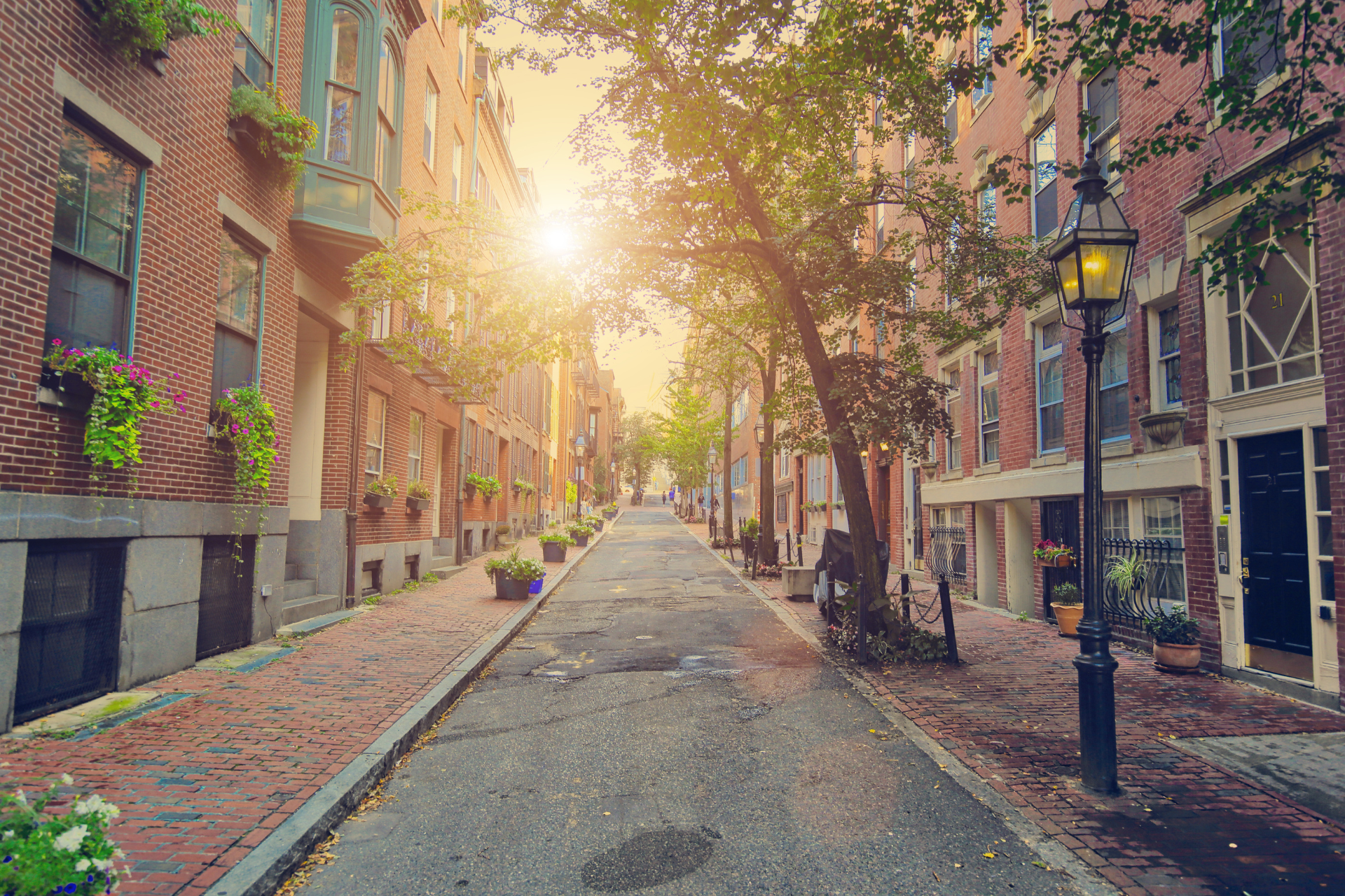 The sun is shining through the trees on a brick street.