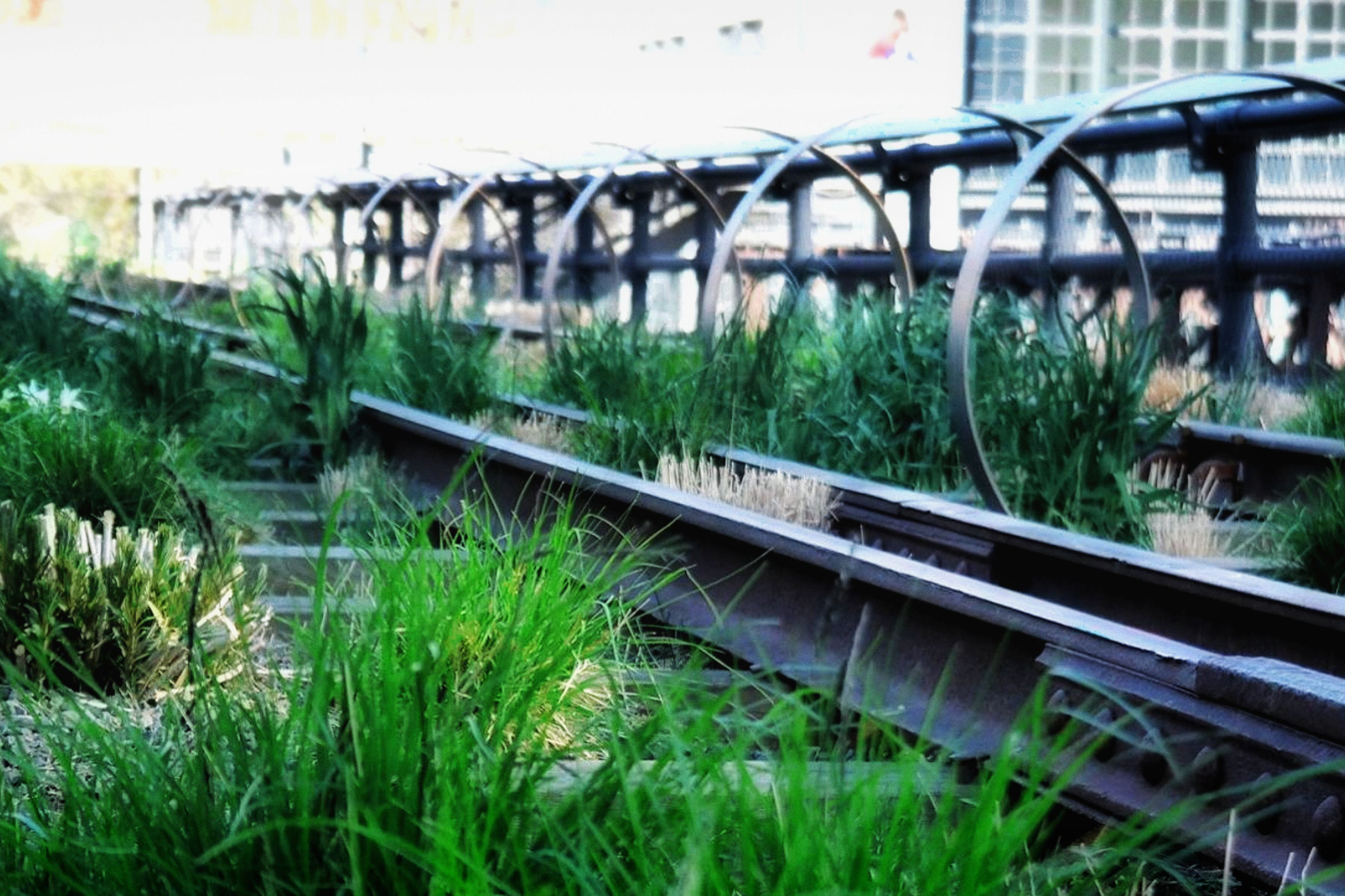 A row of train tracks surrounded by tall grass