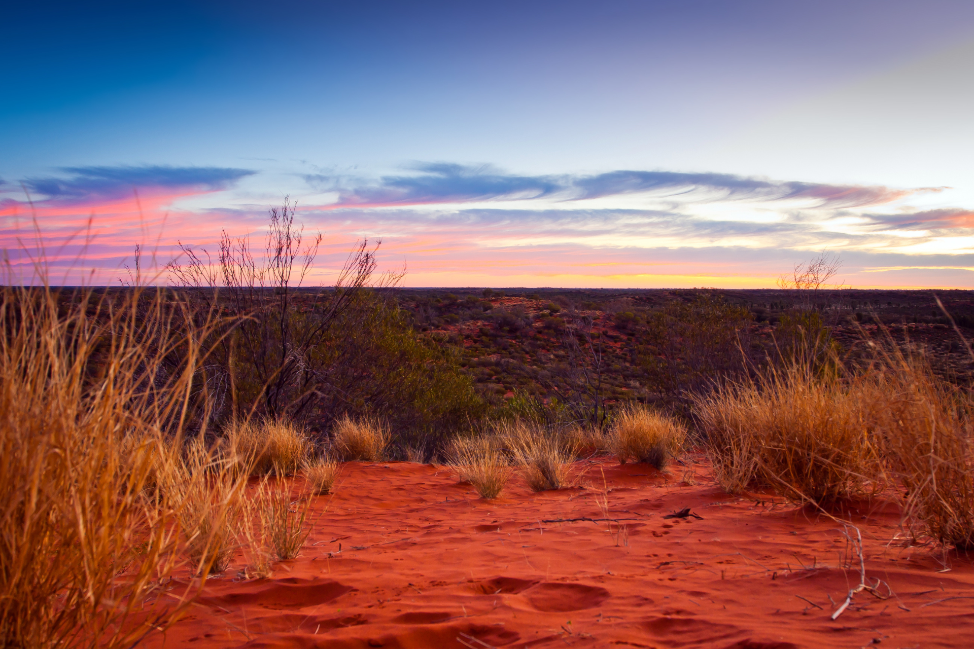 A desert landscape with a sunset in the background