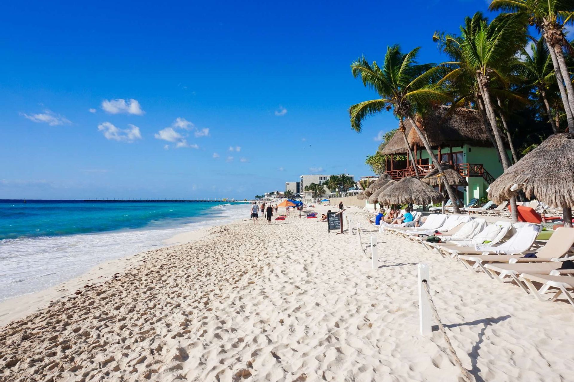 A beach with a lot of chairs and umbrellas on it