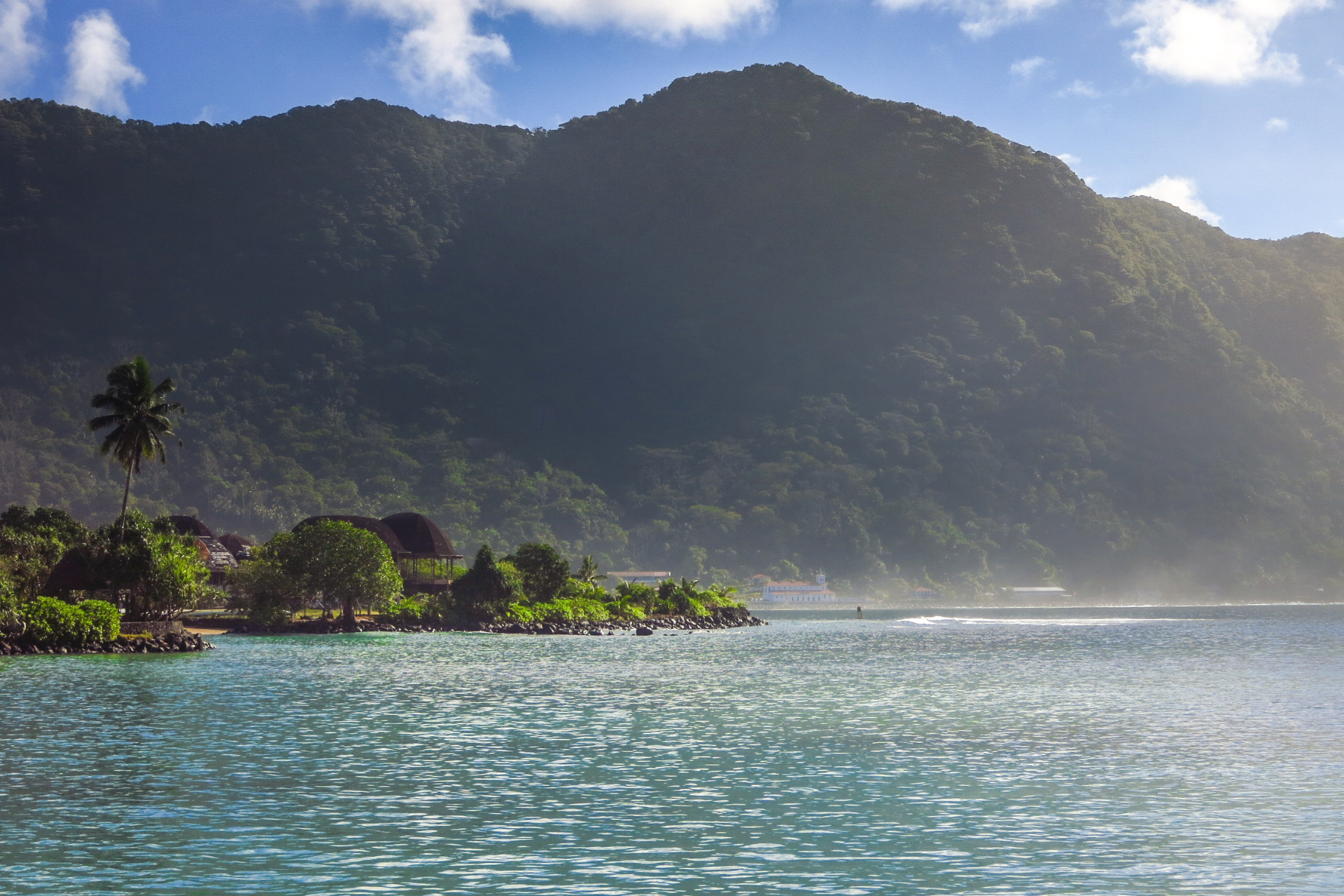 A large body of water with mountains in the background and palm trees in the foreground.