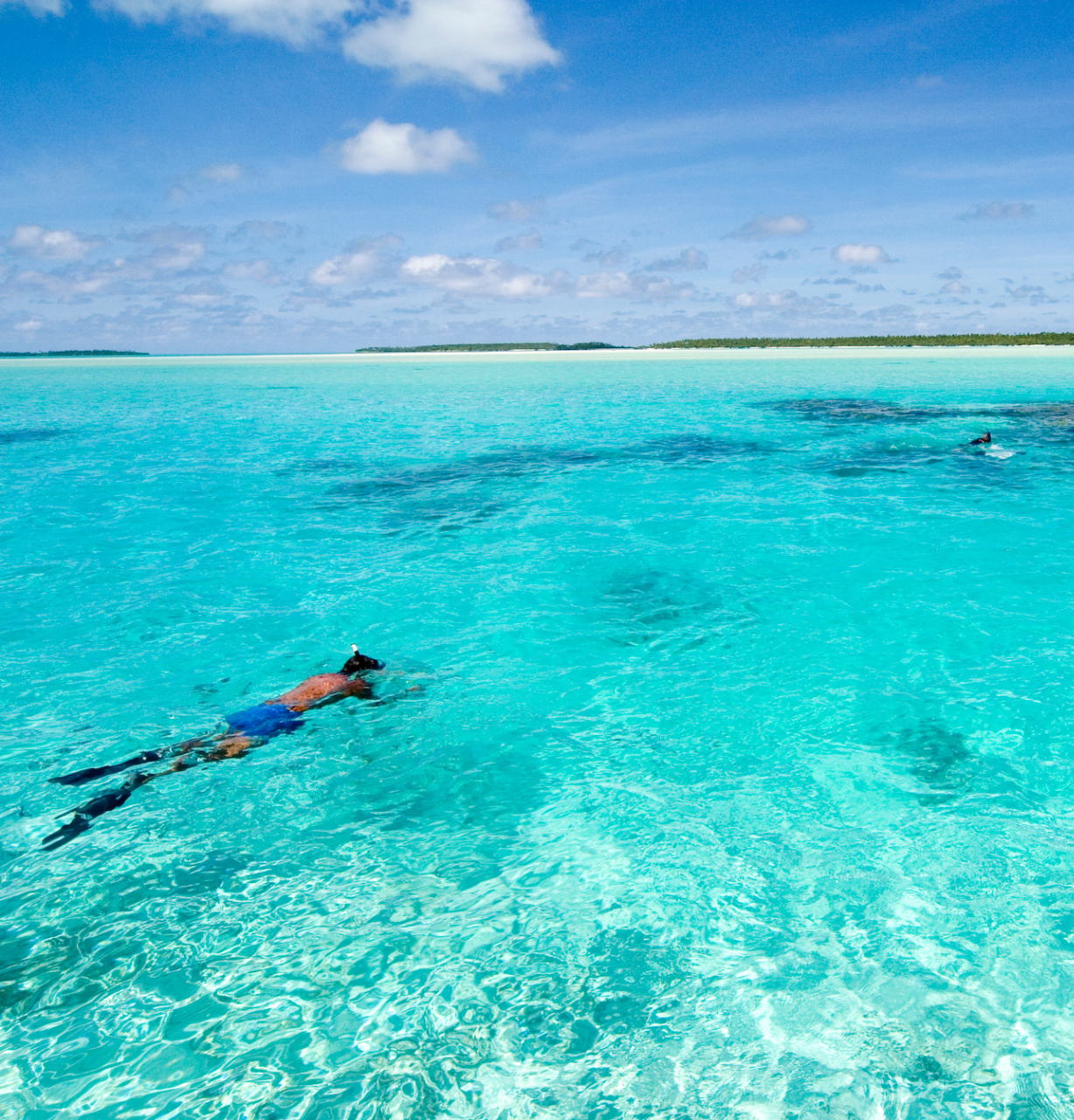 A man is swimming in the ocean on a sunny day.