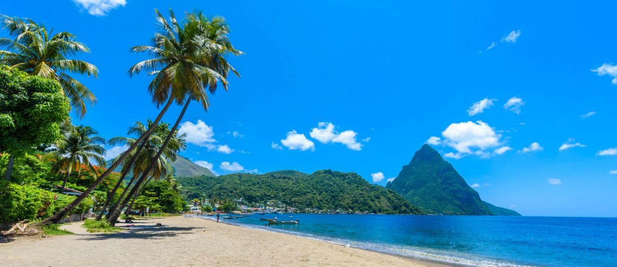 A tropical beach with palm trees and a mountain in the background.