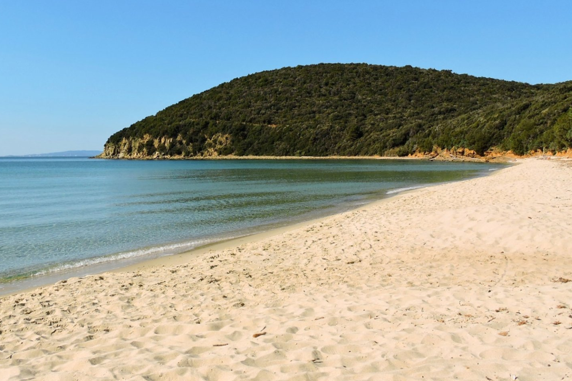 A beach with a hill in the background and trees on the shore