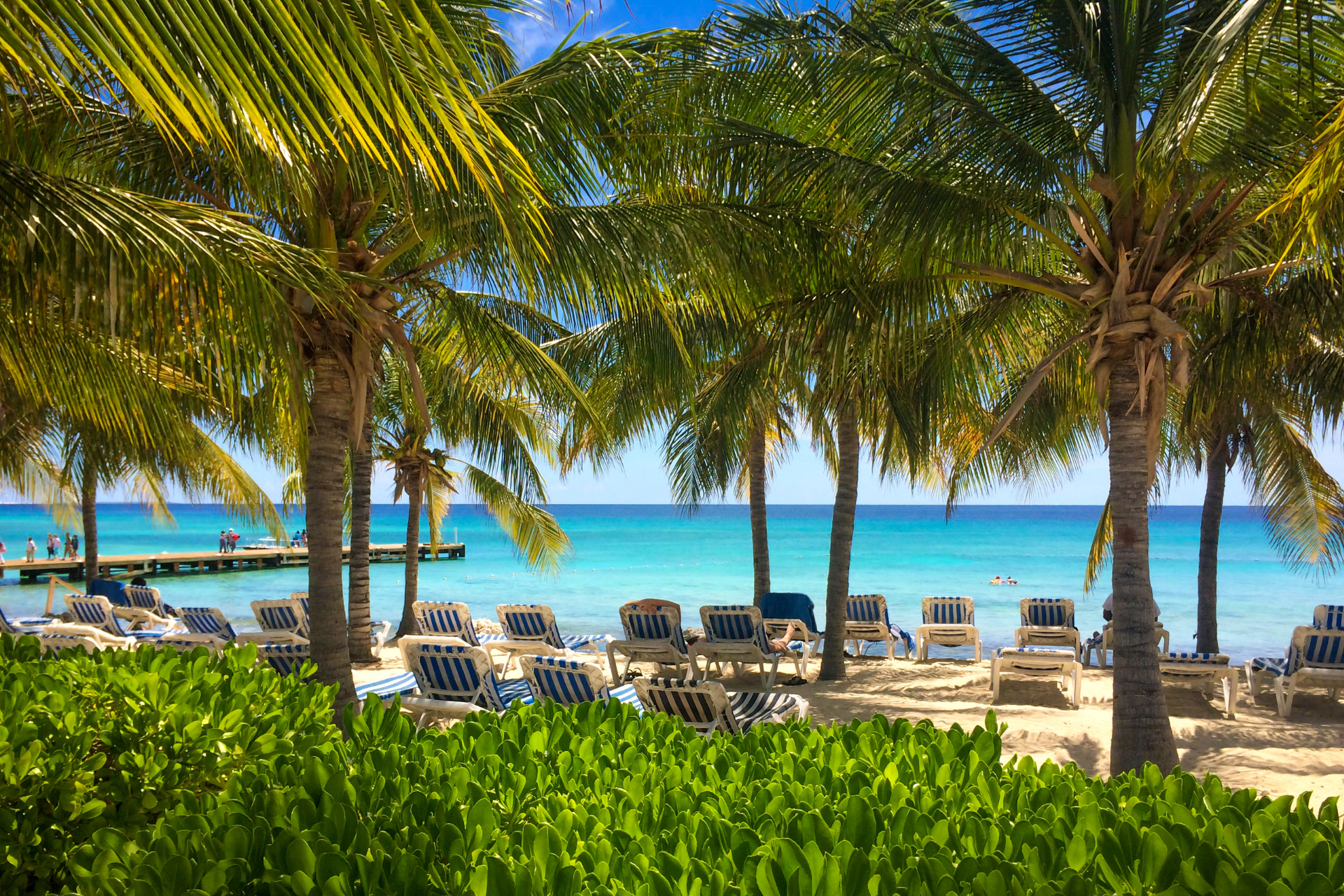 A beach with palm trees and chairs and the ocean in the background