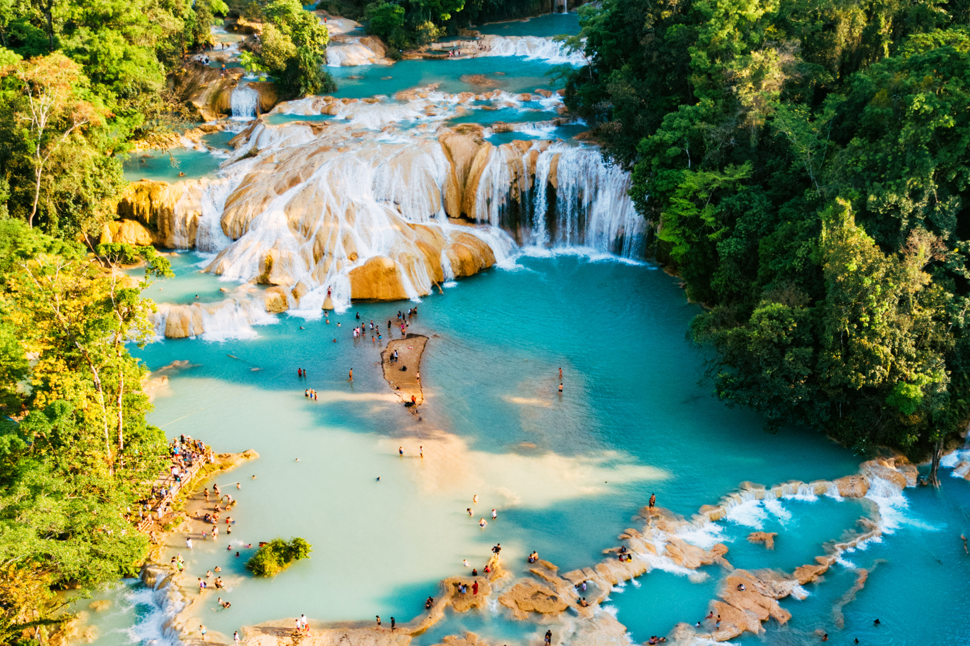 A group of people are swimming in a waterfall surrounded by trees.