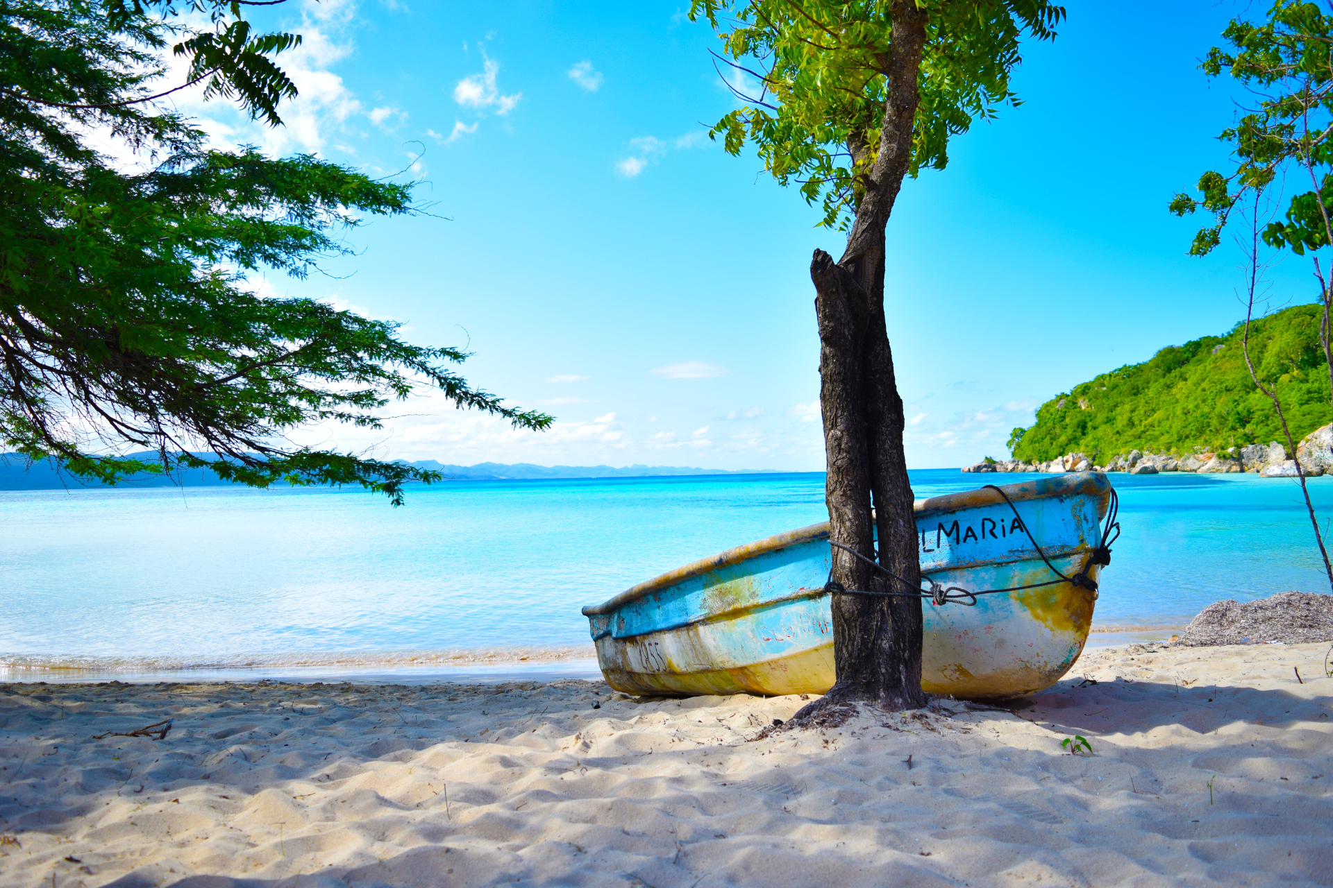 A boat is sitting on a sandy beach next to a tree.