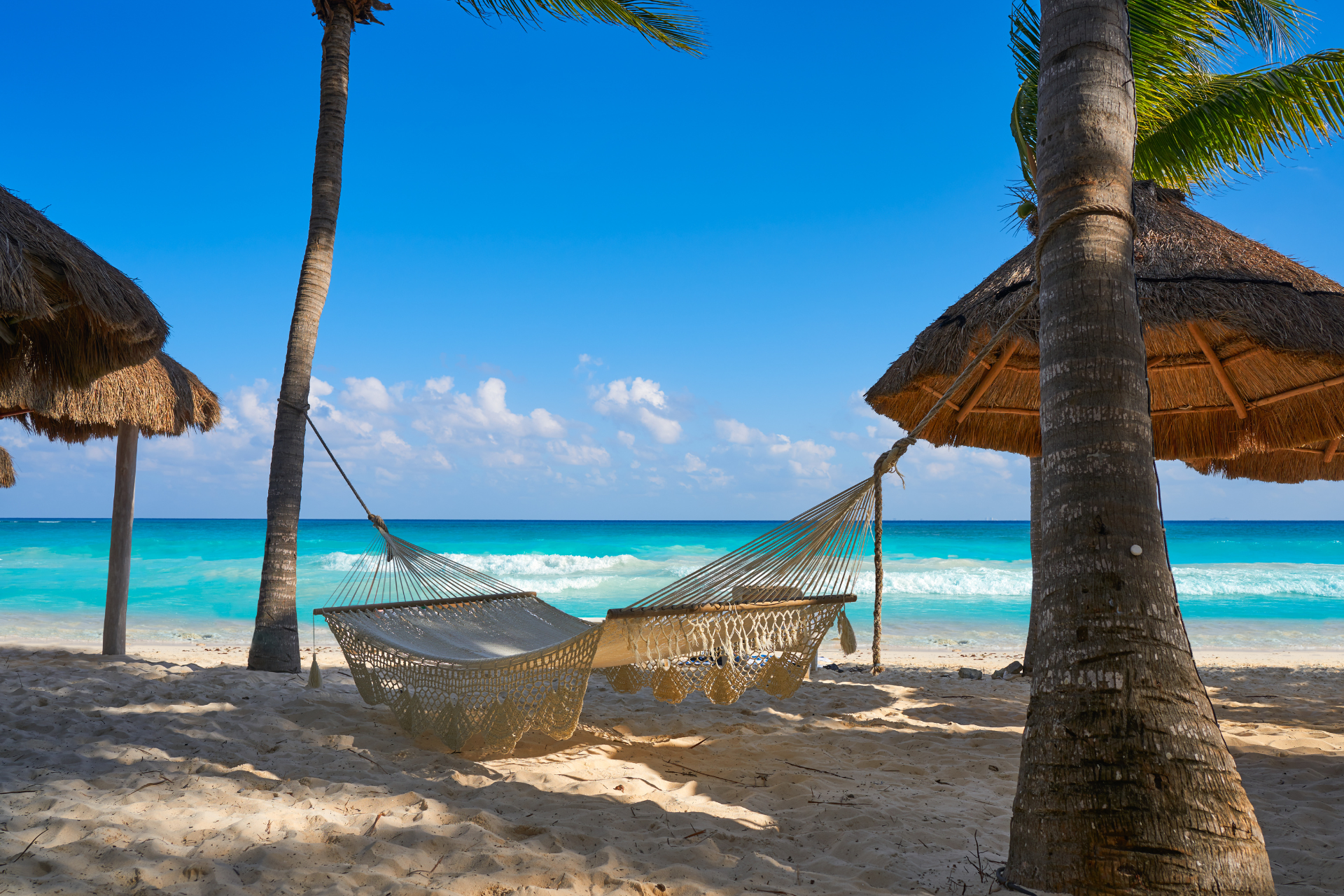 There is a hammock on the beach between two palm trees.